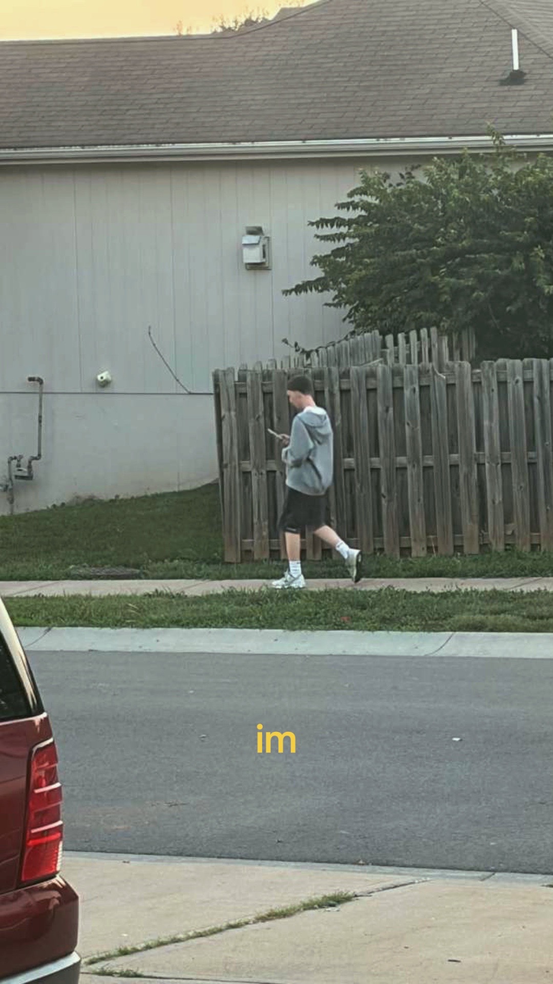 @Ant™
