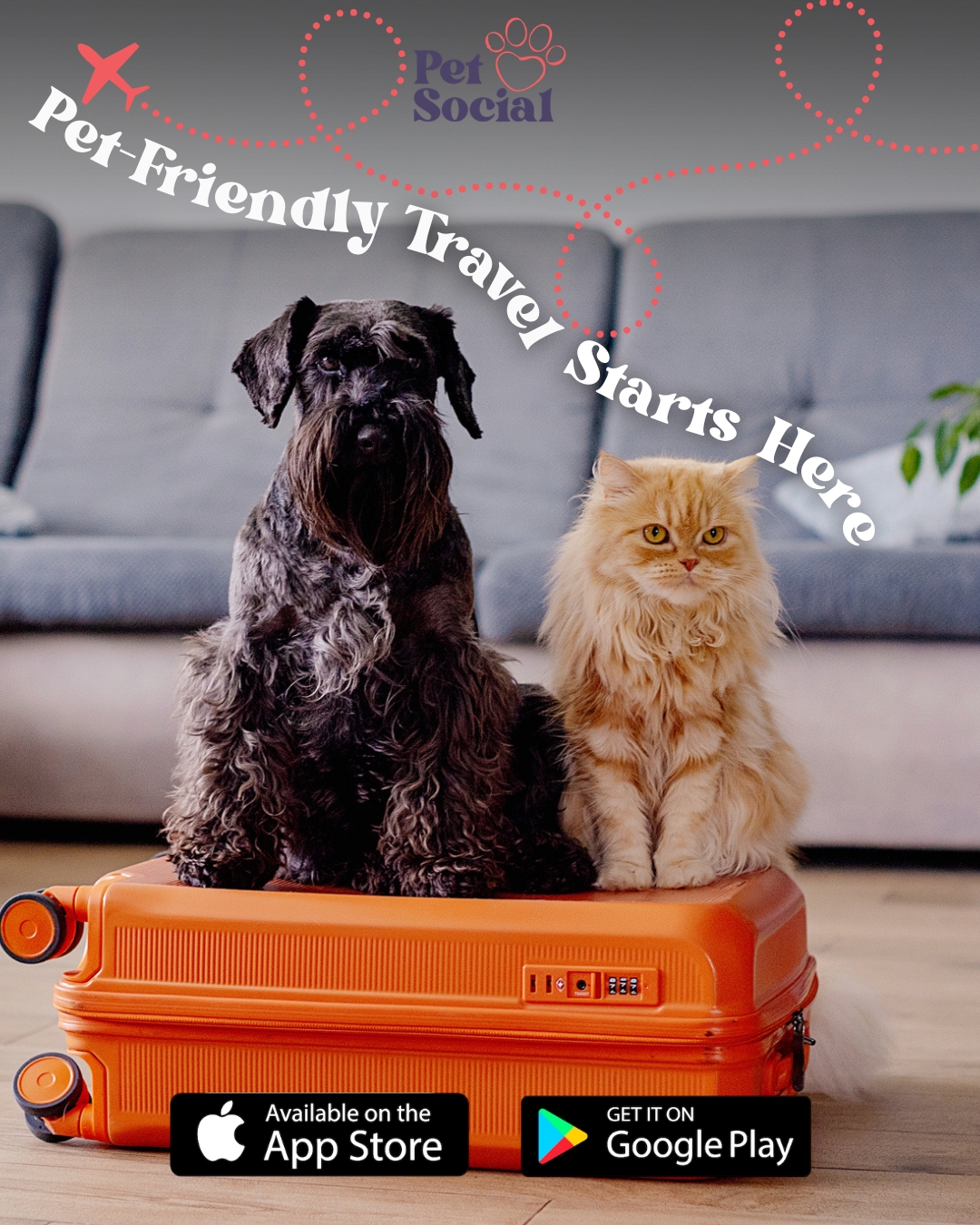 @Pet Social UK