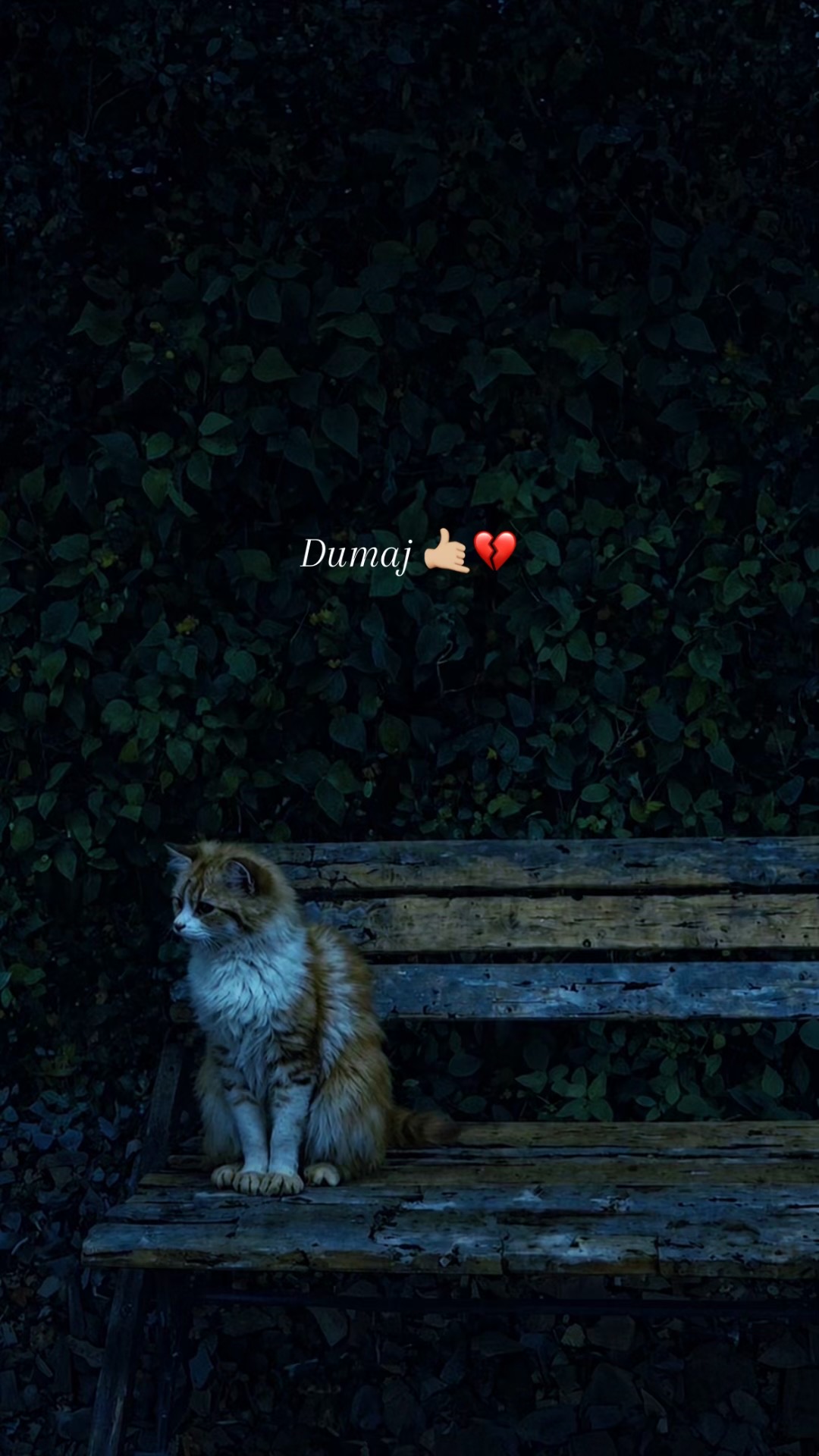 @𝙛𝙧𝙞𝙙𝙪𝙤𝙢  🥀❤️&zwj;🩹
