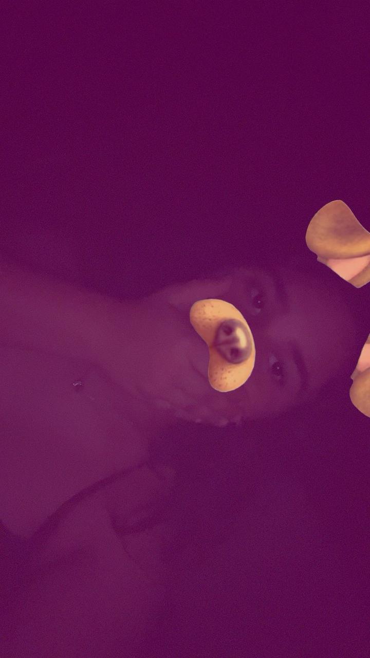 @🩷Sara&Bleta🩷
