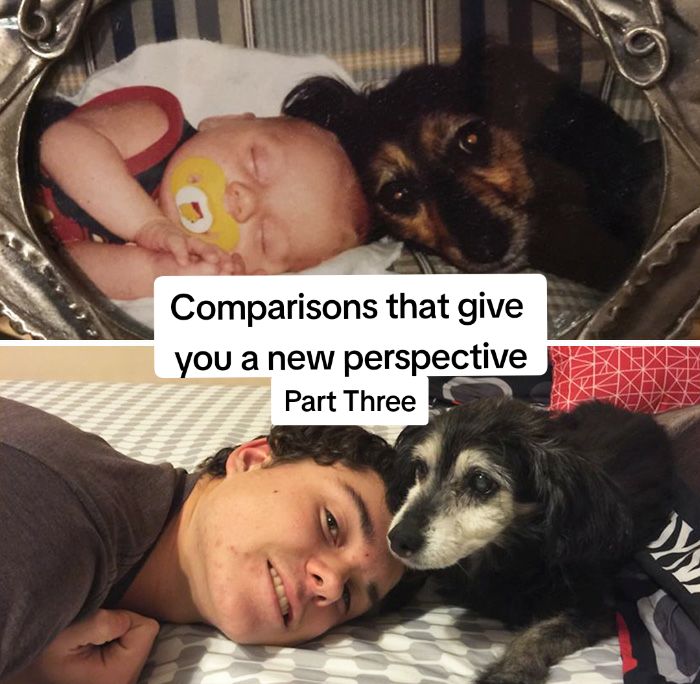 @Drxdmy