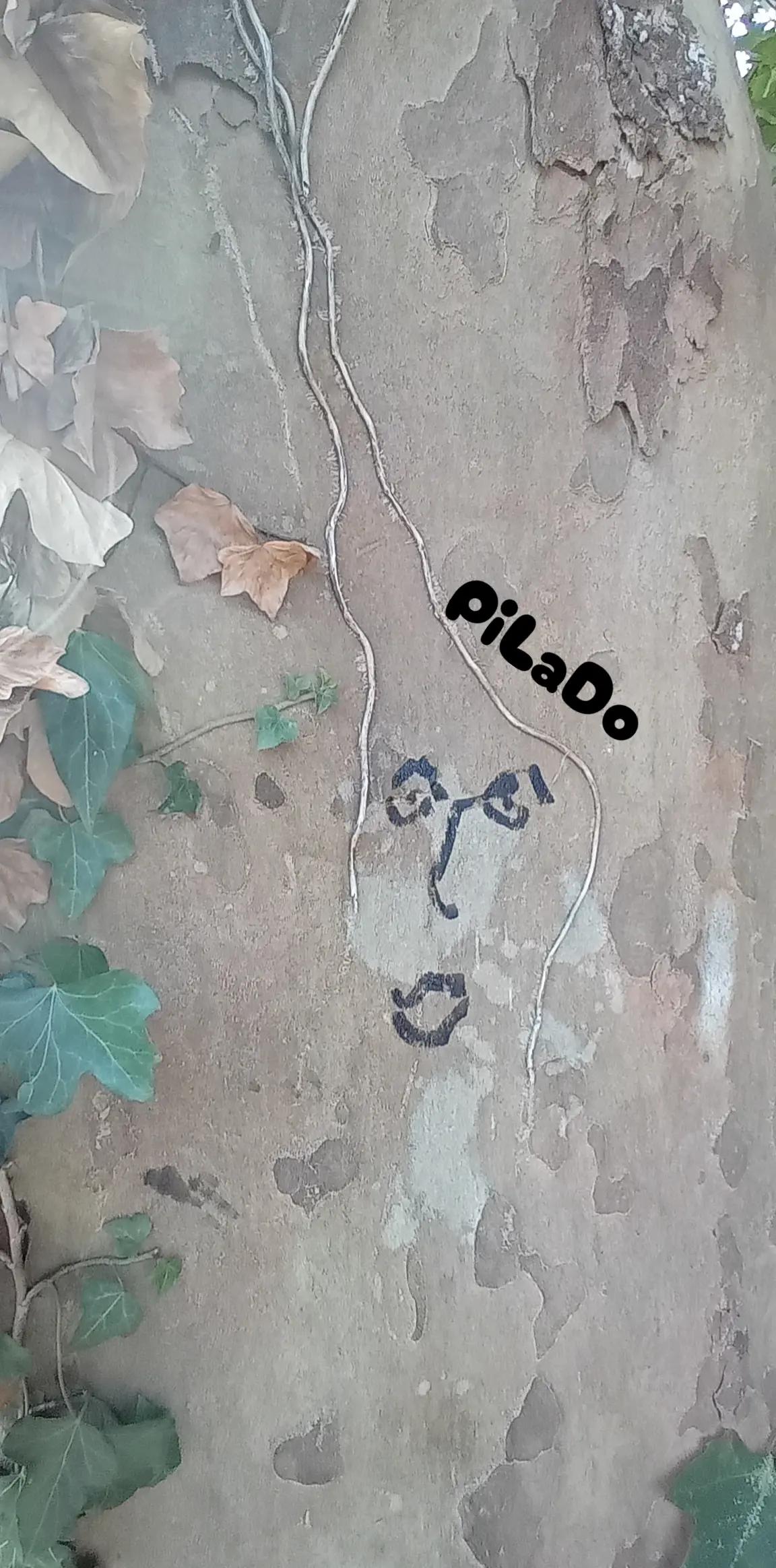 @PiL&forall;Do