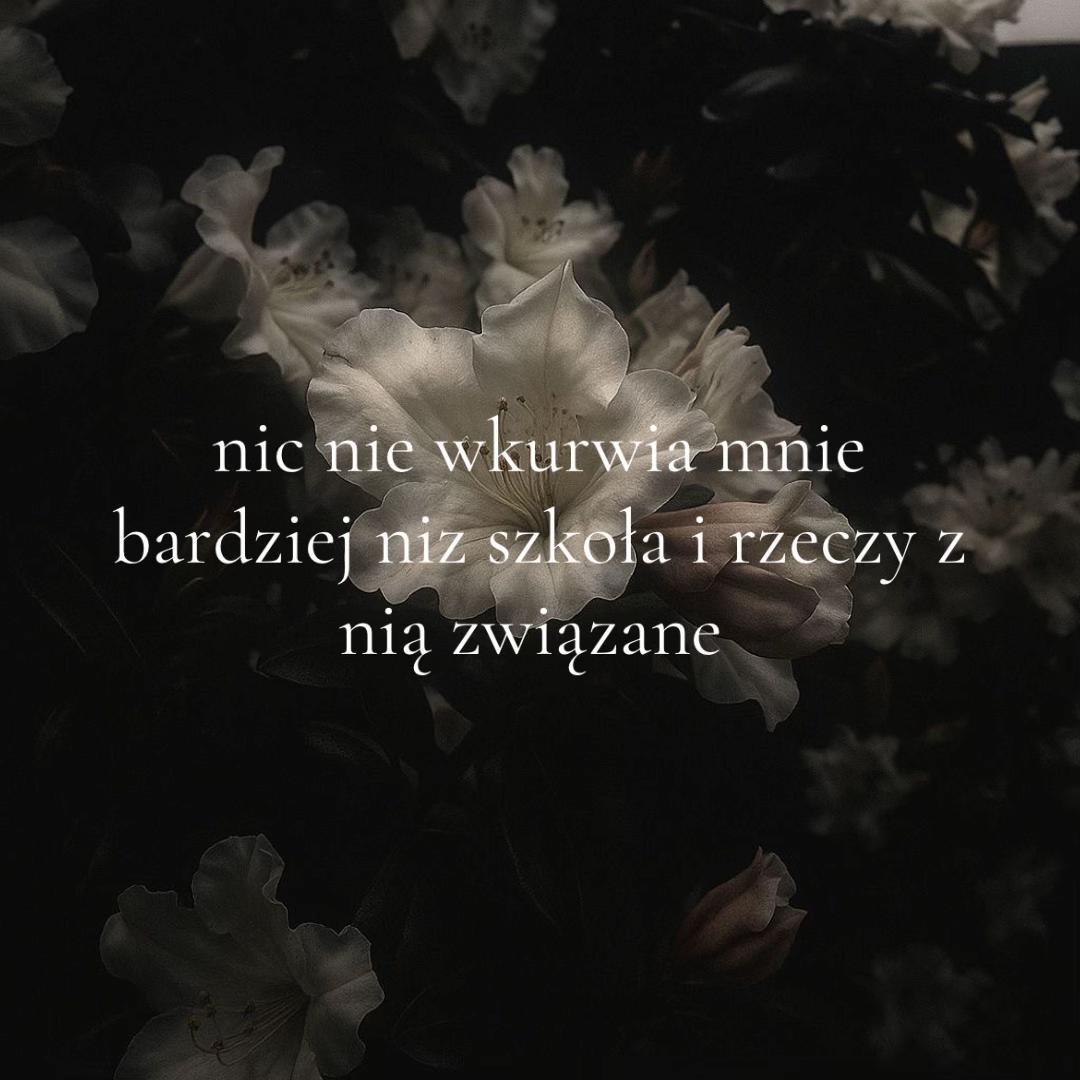 @weronika