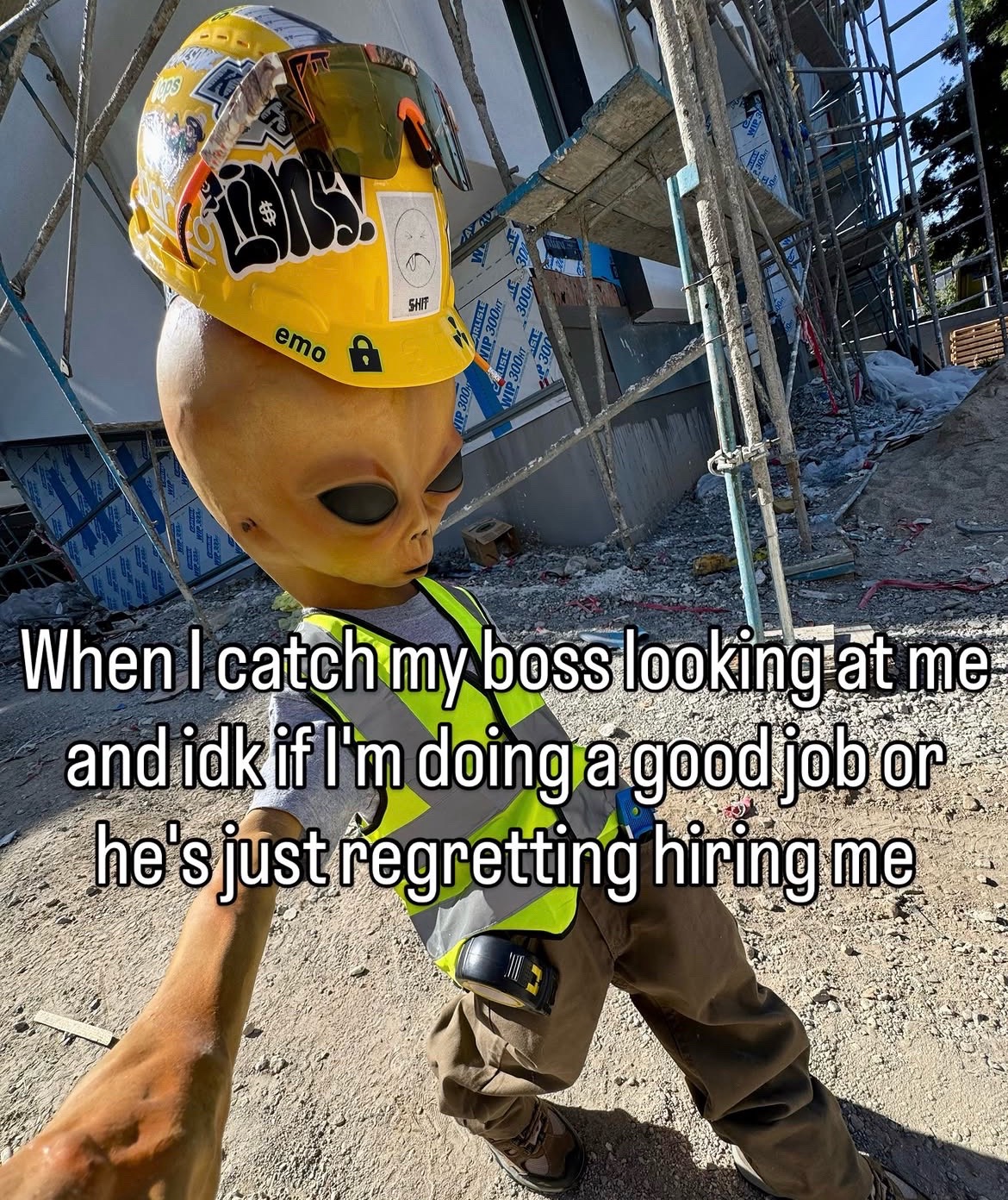 @vibezonly900