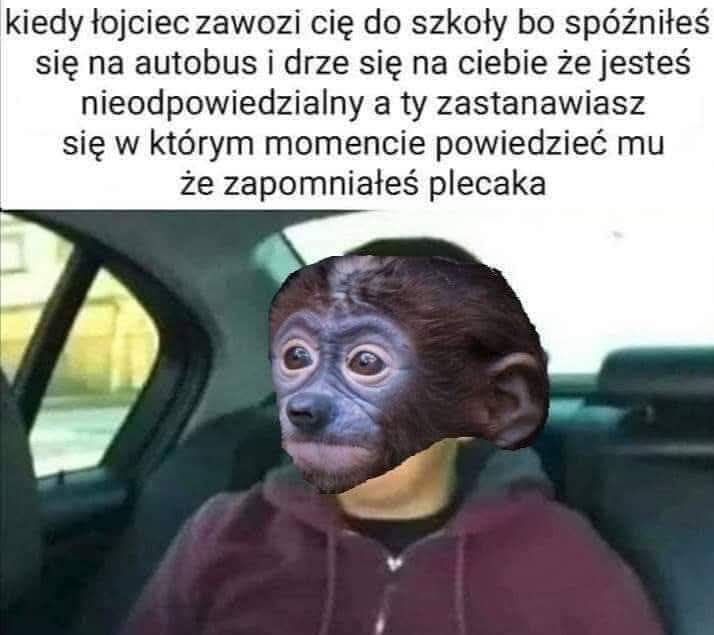 @CZARNULKA