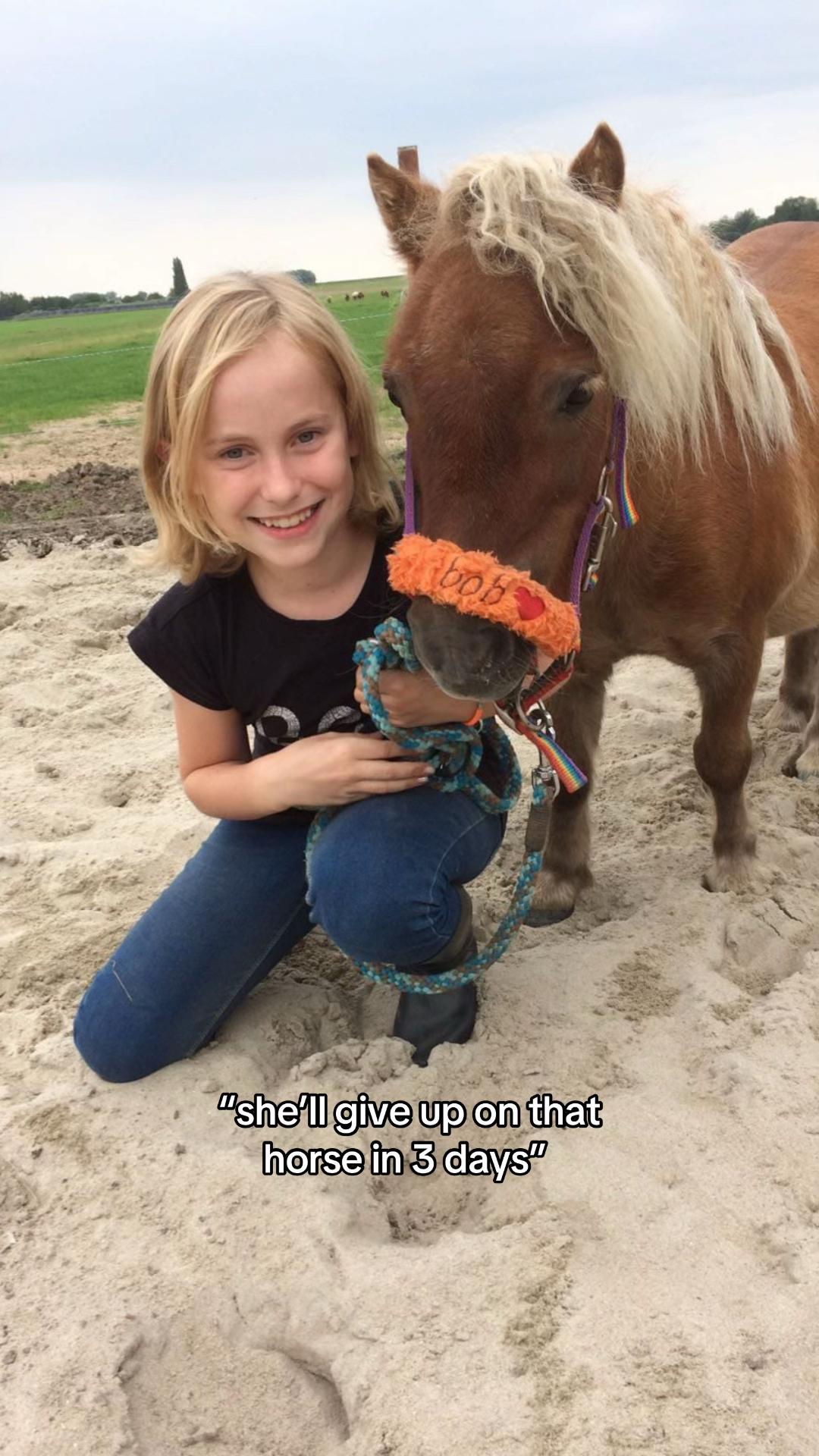 @idh_horses