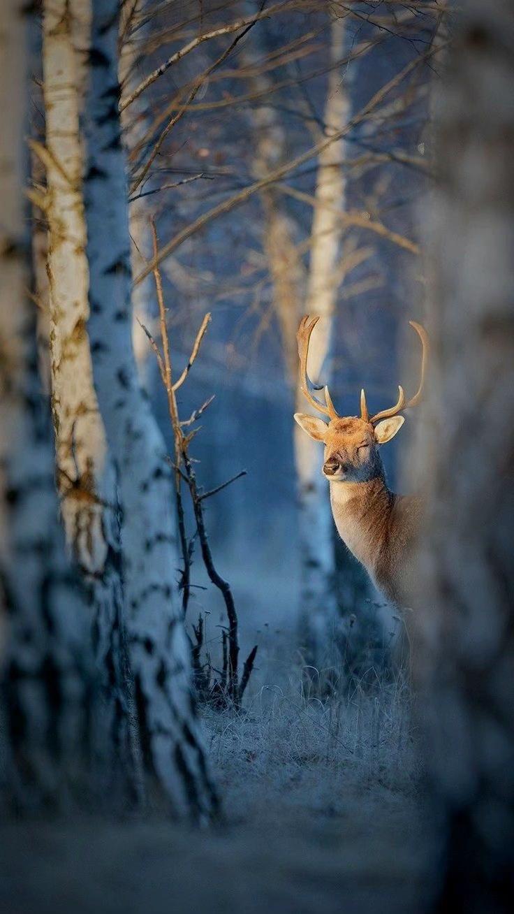 @Hunting and Fishing