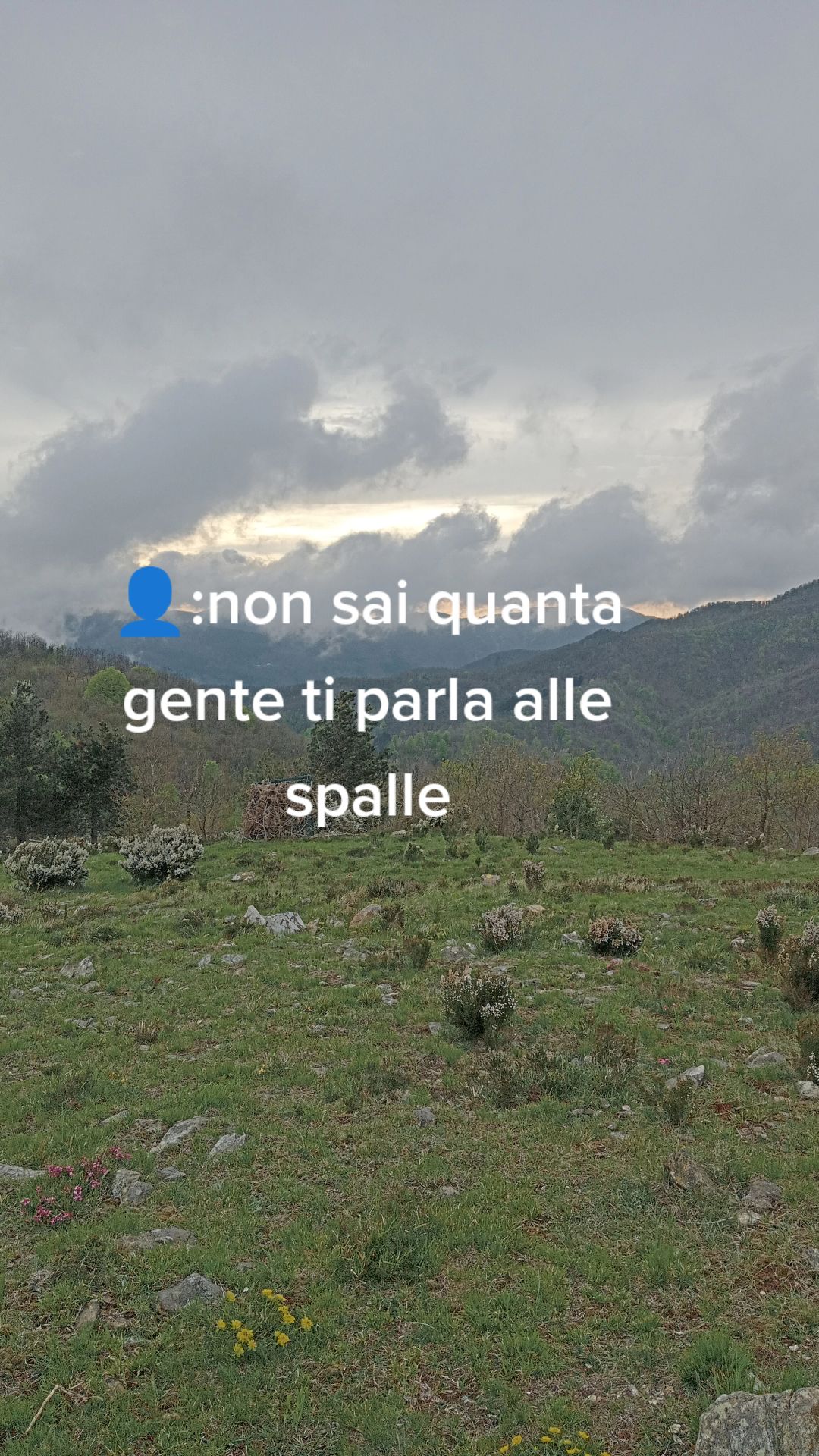 @andre_pasto_