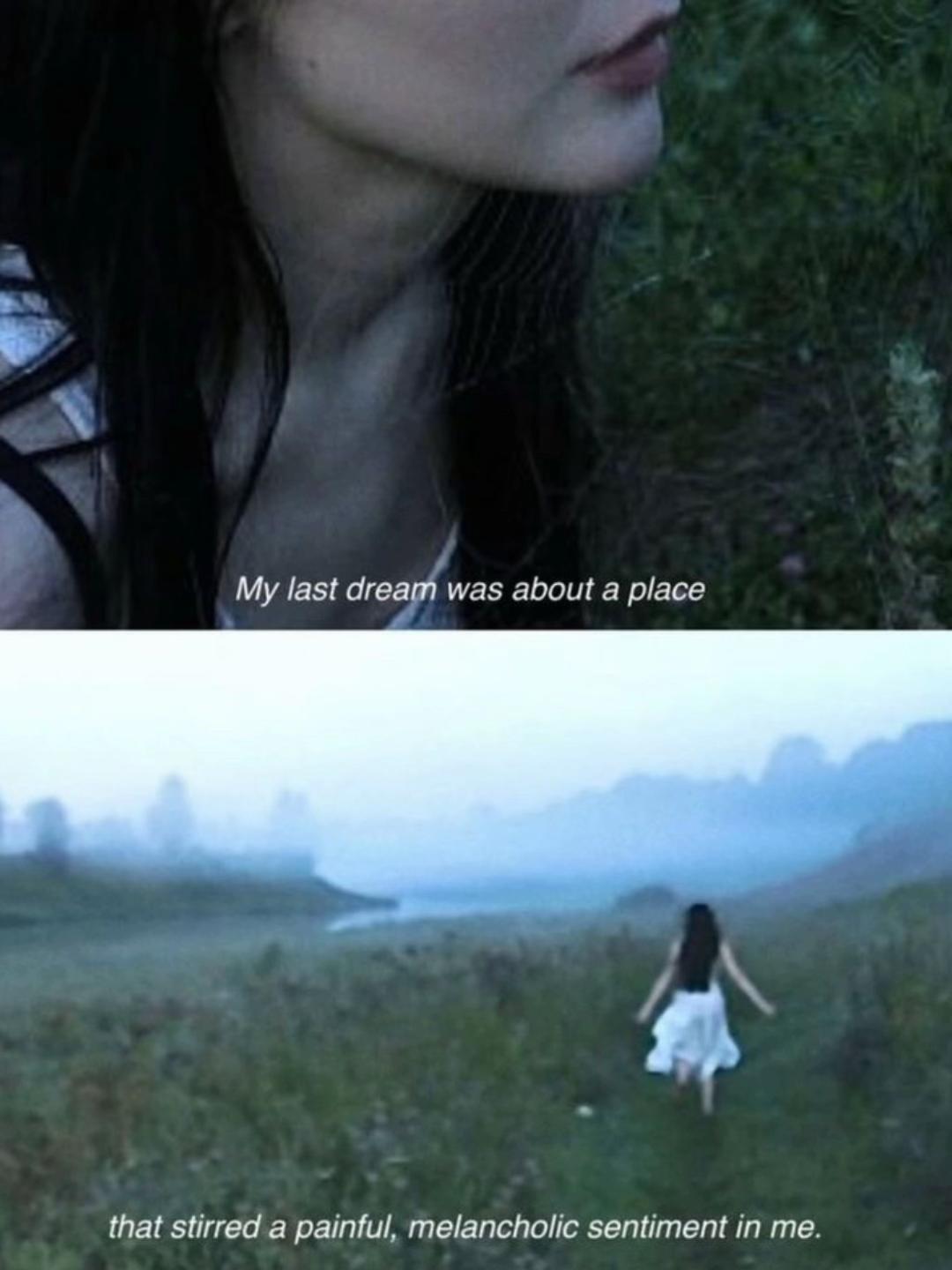 @Ceo of tiktok