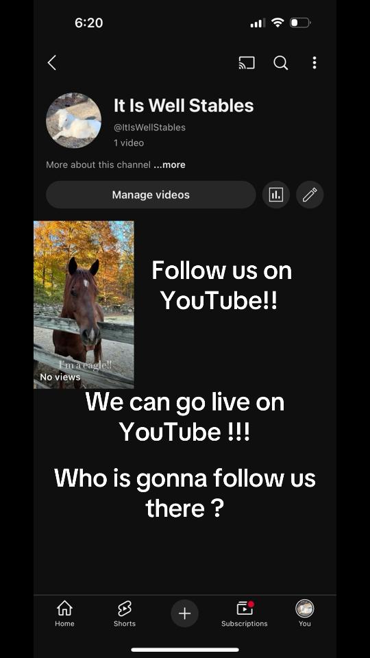 @itiswellstables