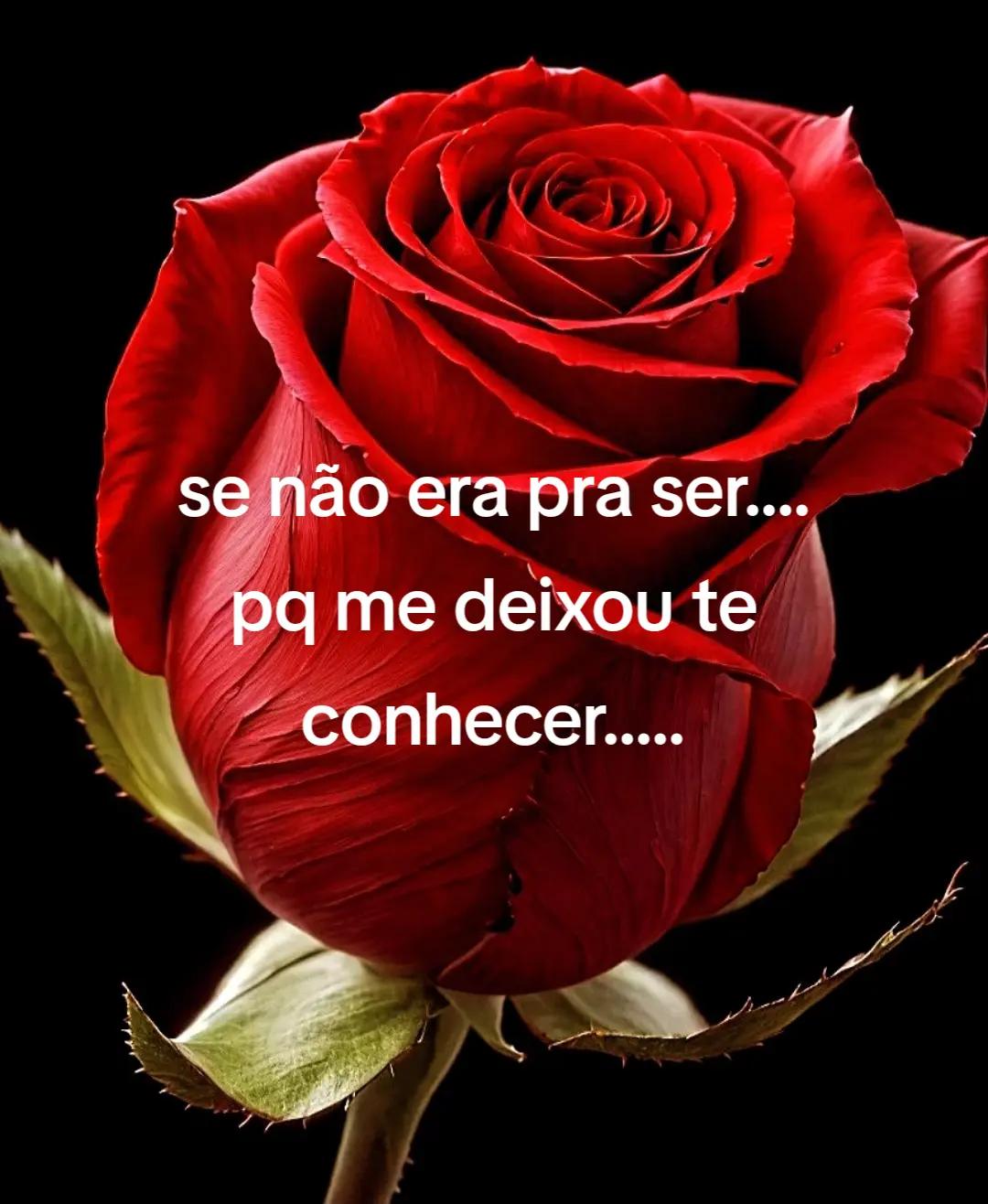 @Alicio amor infinito..