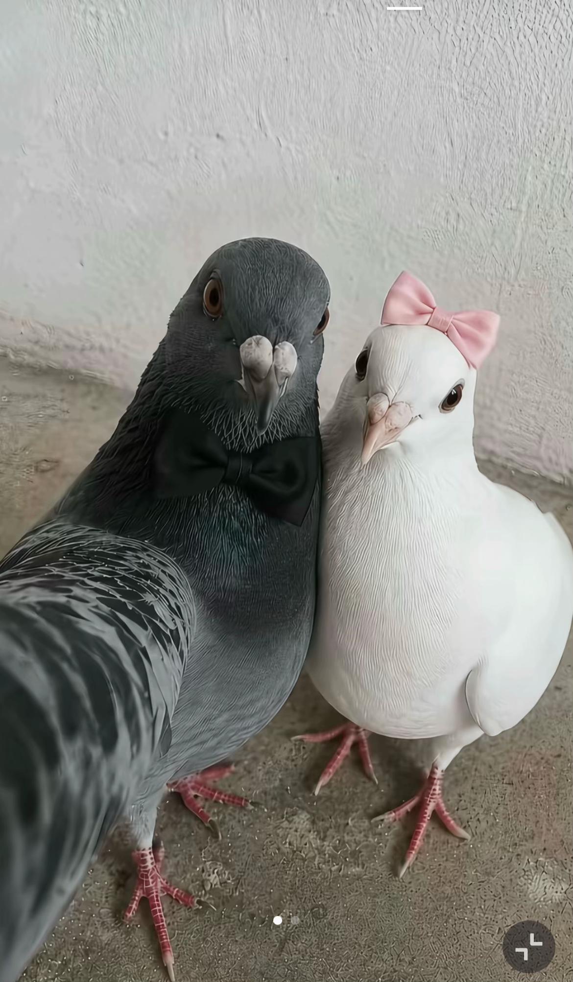 @𝔃𝓐