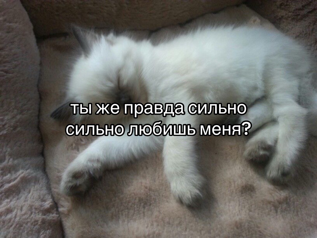 @I hate you.