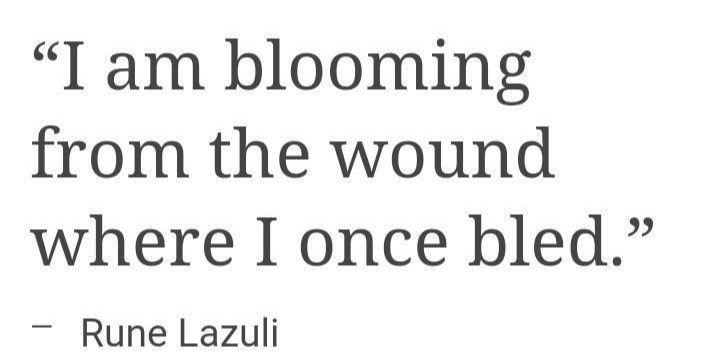@cammy