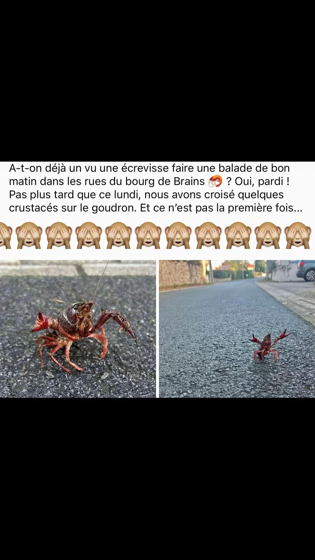@lecritiqueur44
