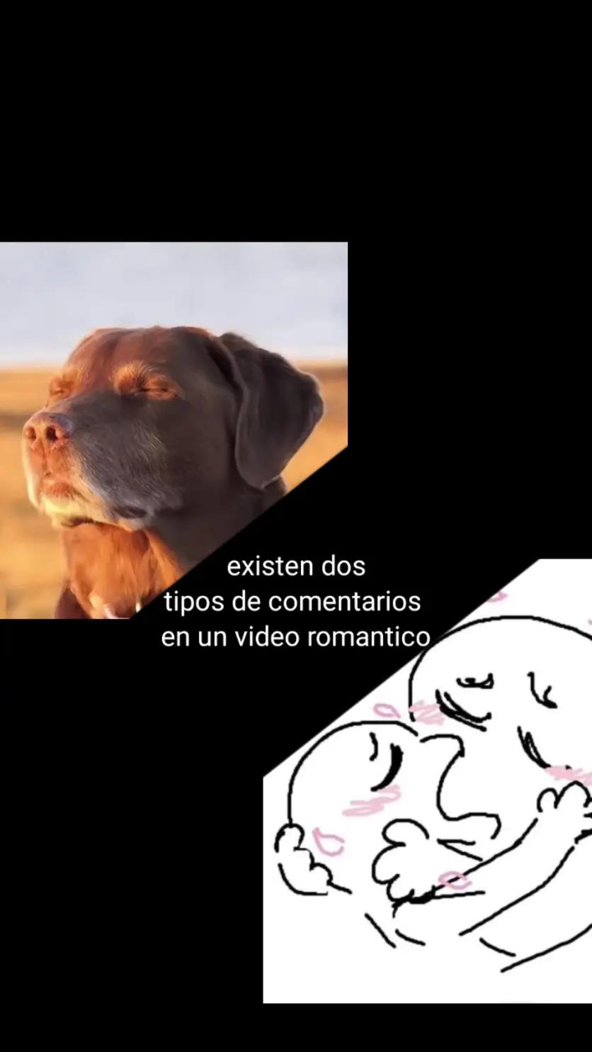 @Gabriel Palomino 17