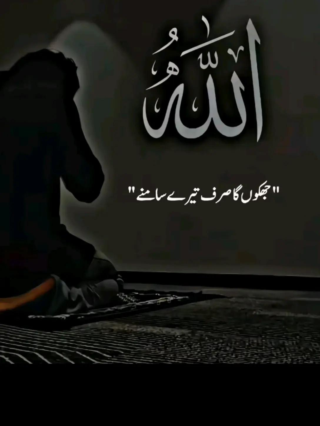 @arslan jani