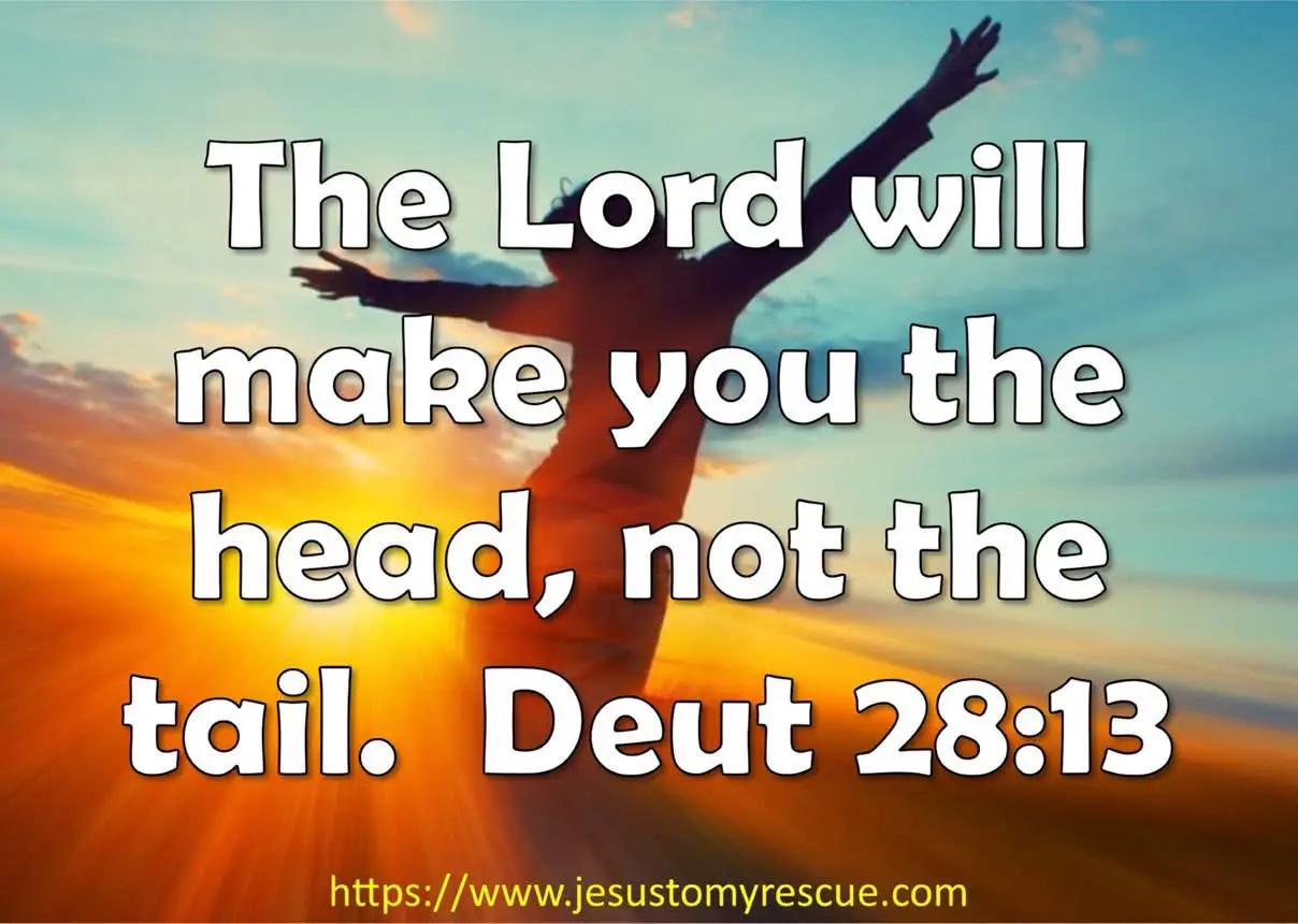 @Jesus to my Rescue