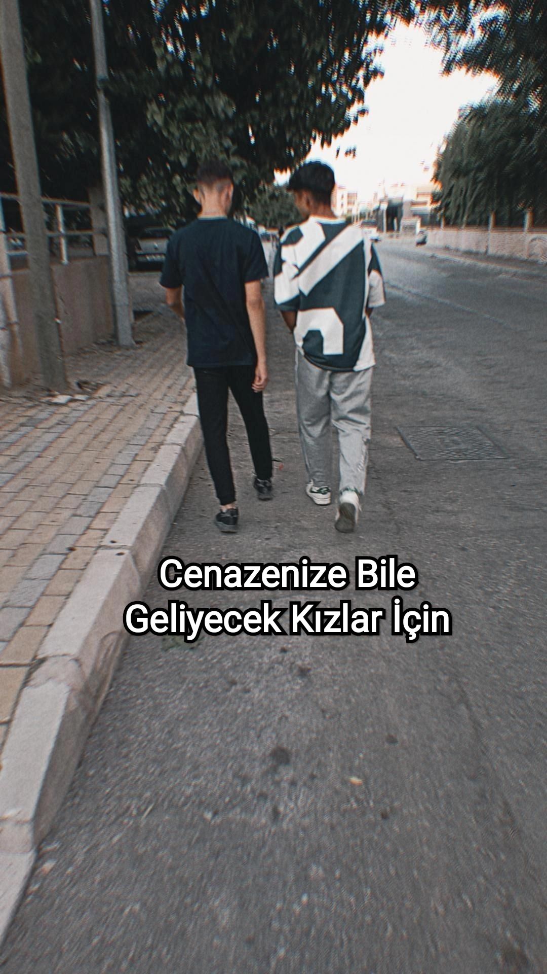 @Z'A🐊