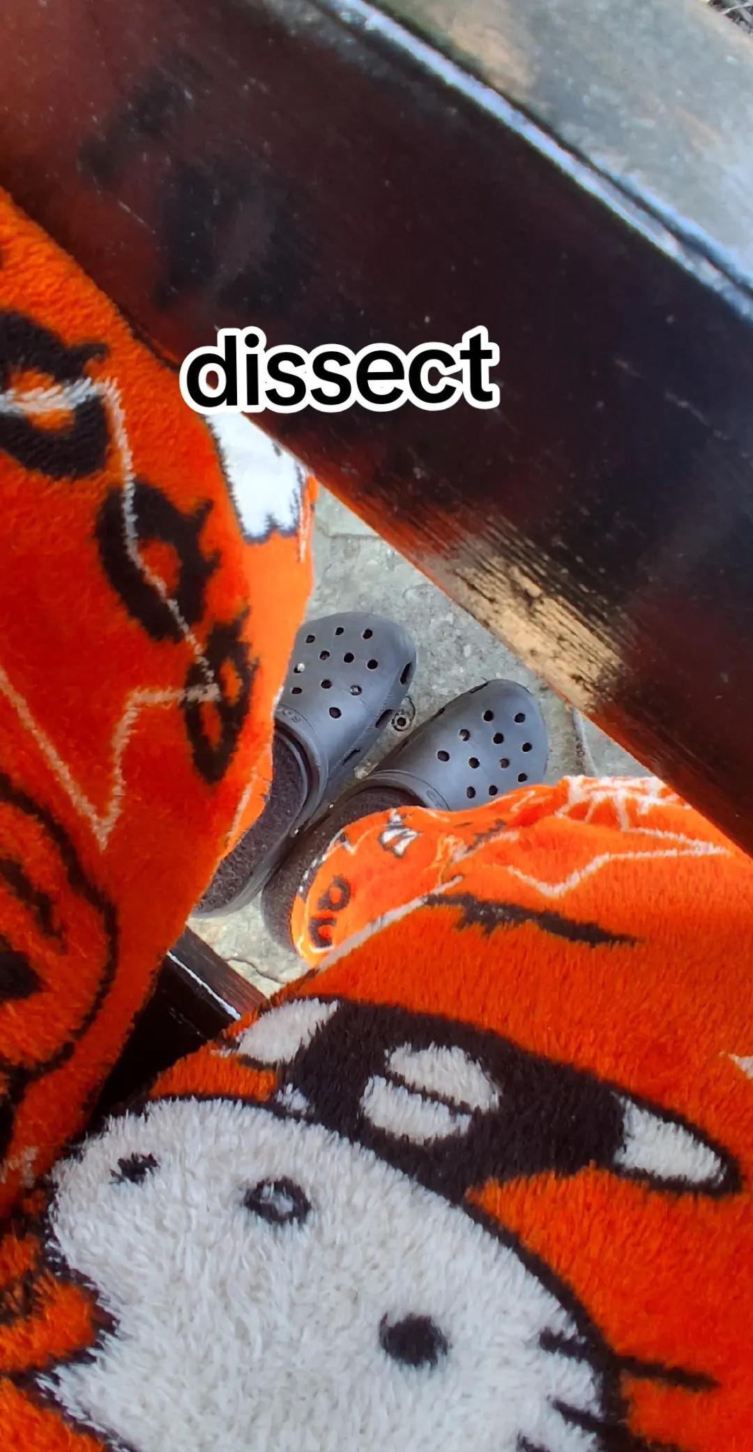 @🦖💩