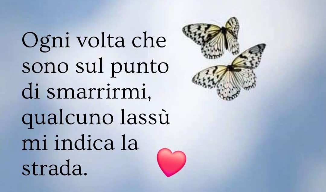 @Luisa Guarino