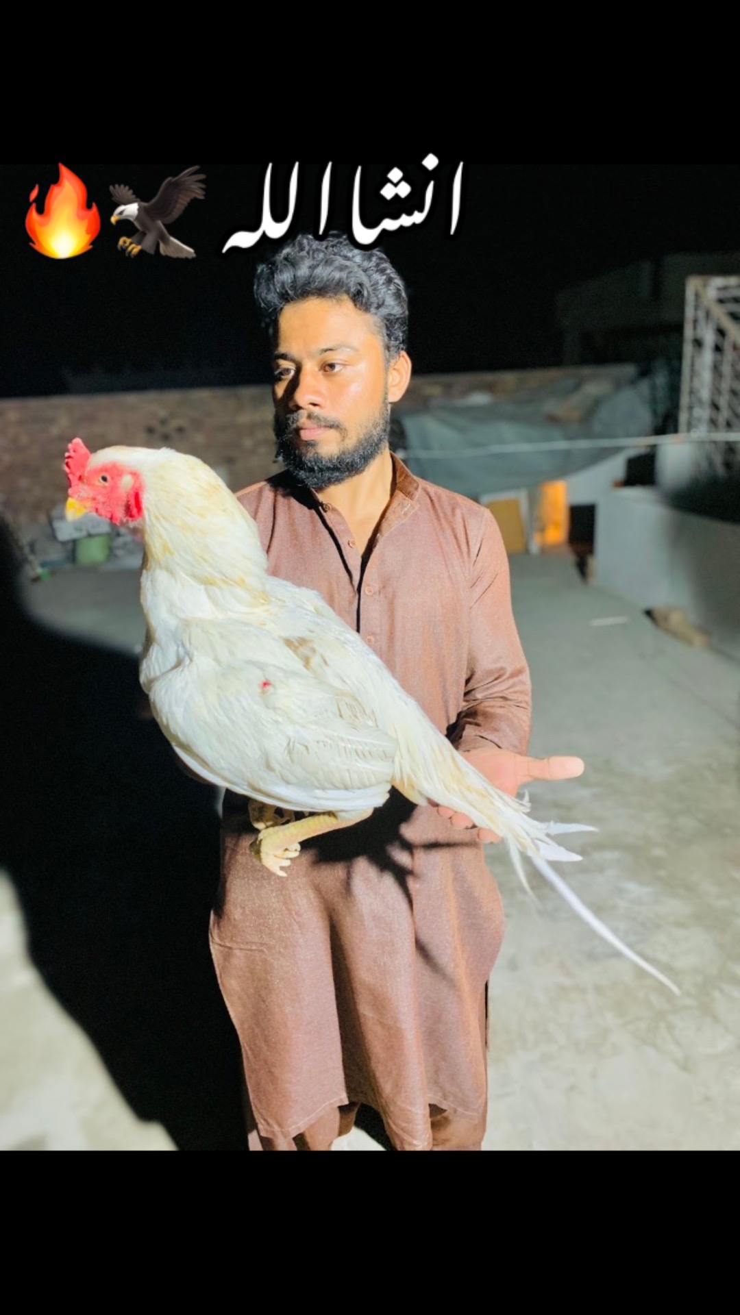 @شوق سرگودھا آ لے دا🔥🦅🐦&zwj;🔥😈