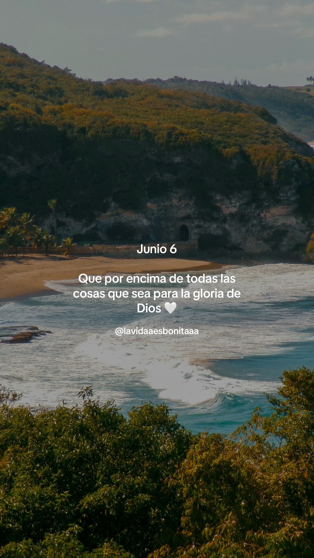 @vidabonita❤️&zwj;🩹