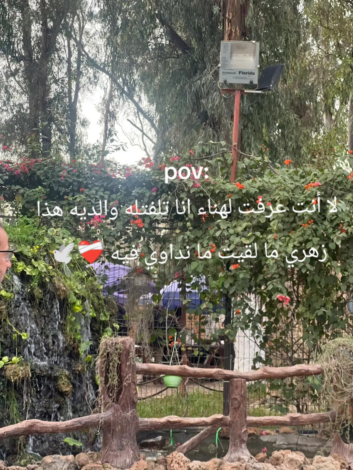 @maram M&eacute;lissa