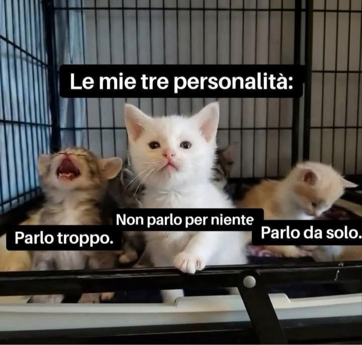 @Mariana🖤