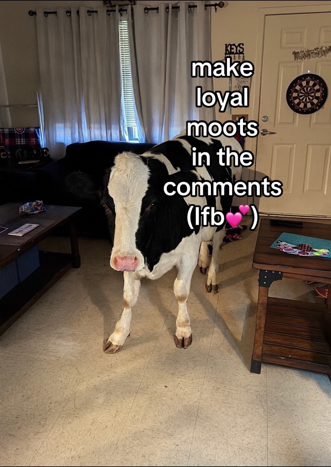@moot girl💗ifb