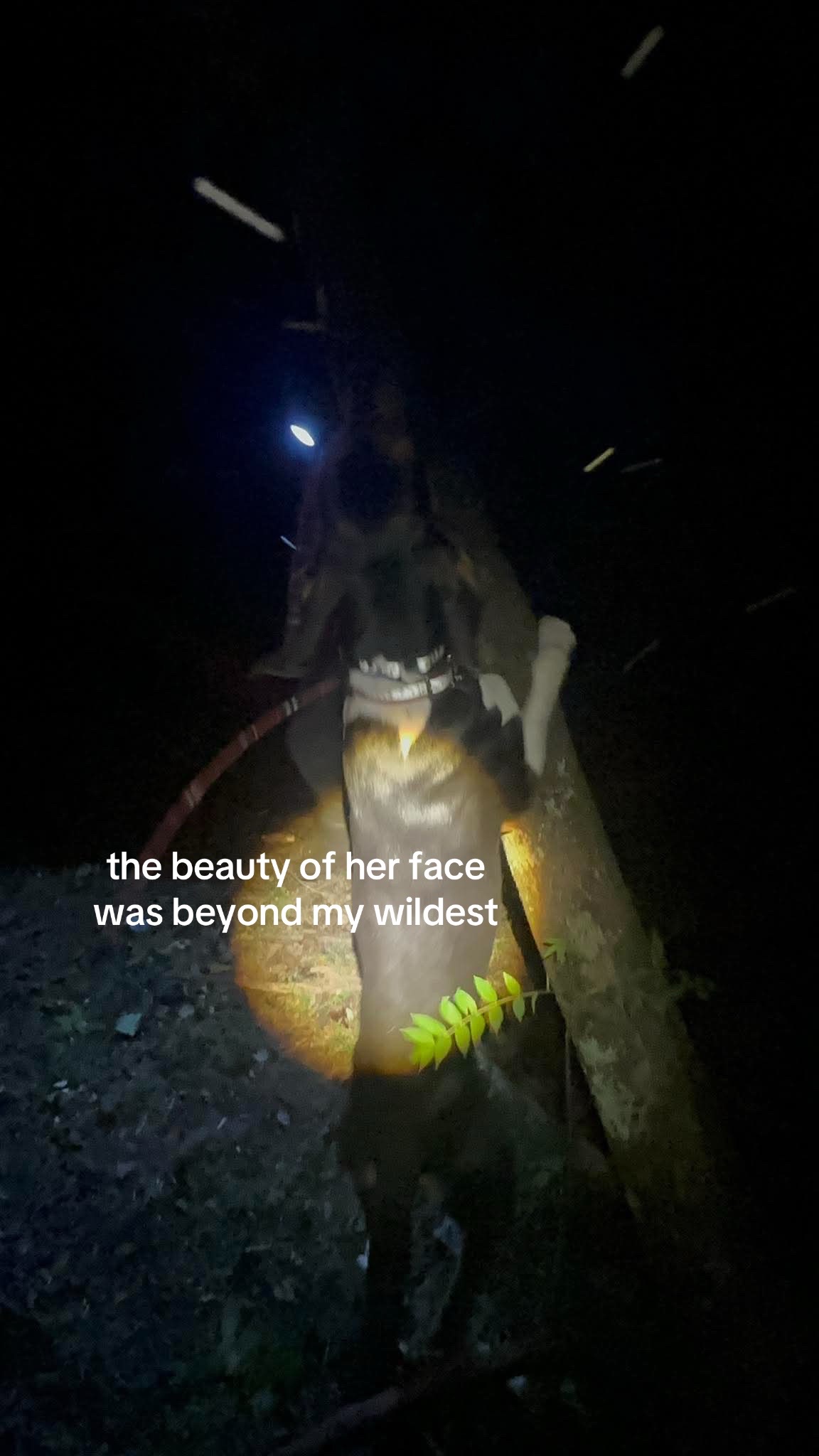 @𝓫𝓪𝓬𝓴𝔀𝓸𝓸𝓭𝓫𝓸𝓰𝓰𝓲𝓷𝓰