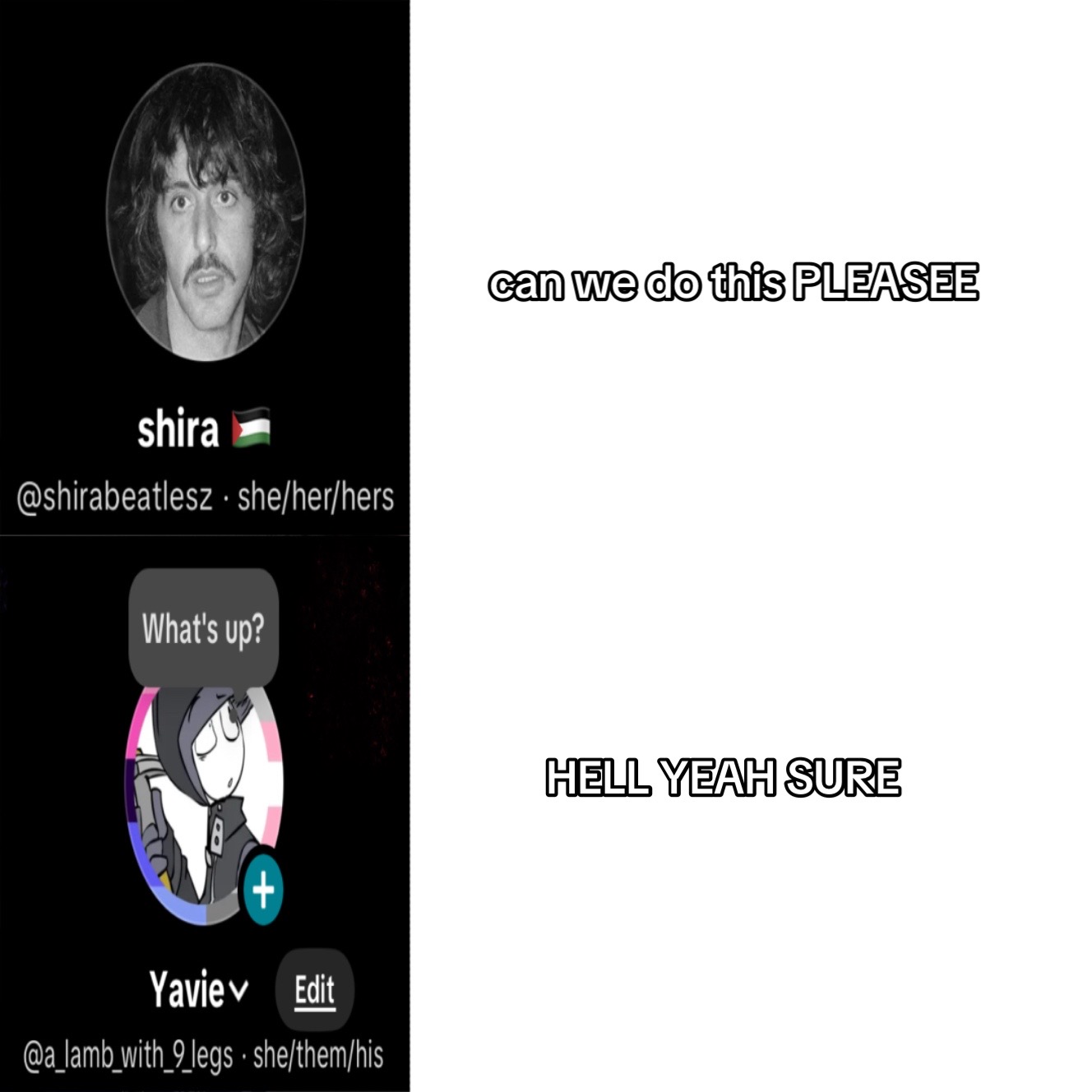 @shira ๐ต๐ธ