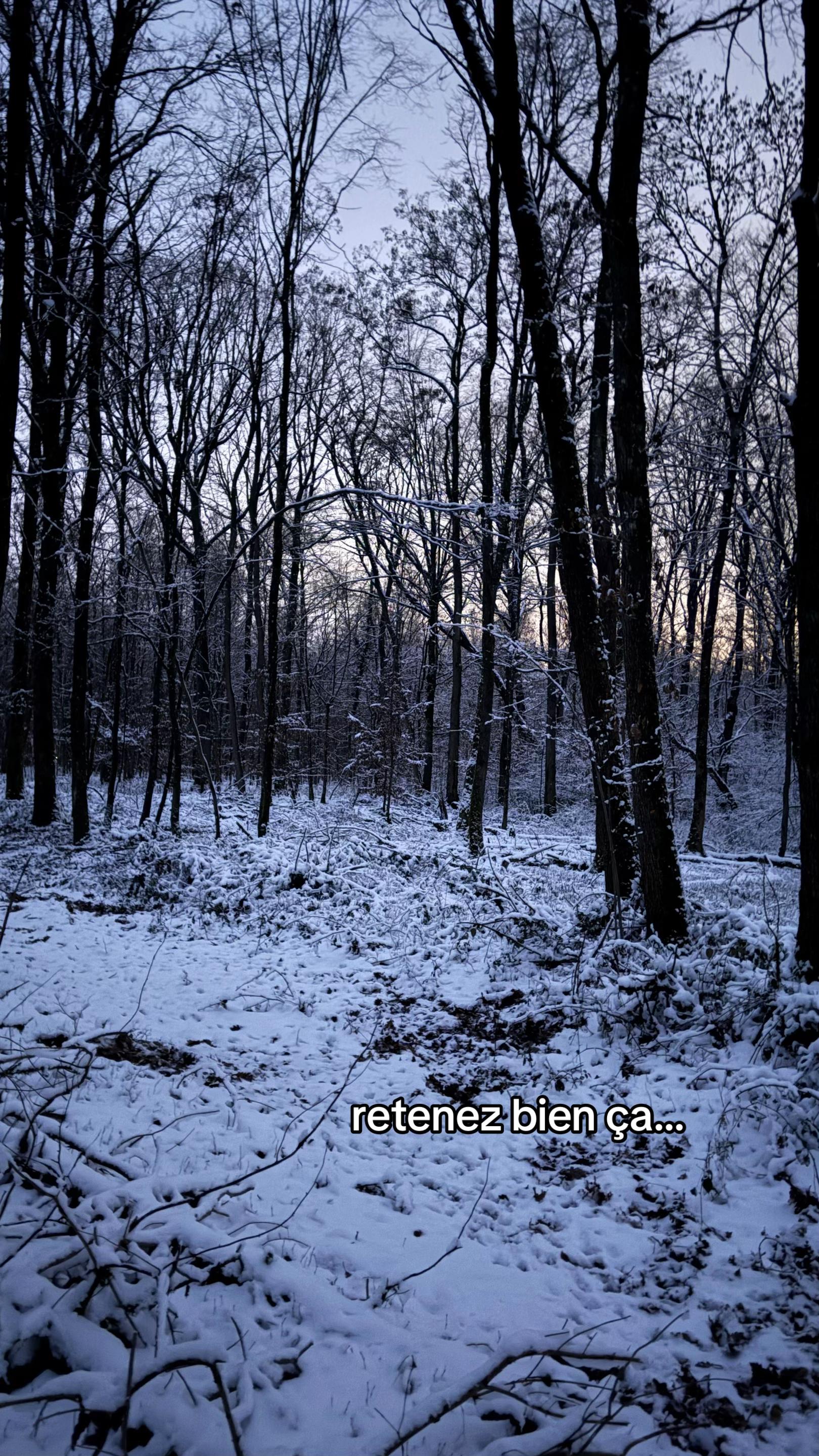 @enzomri_