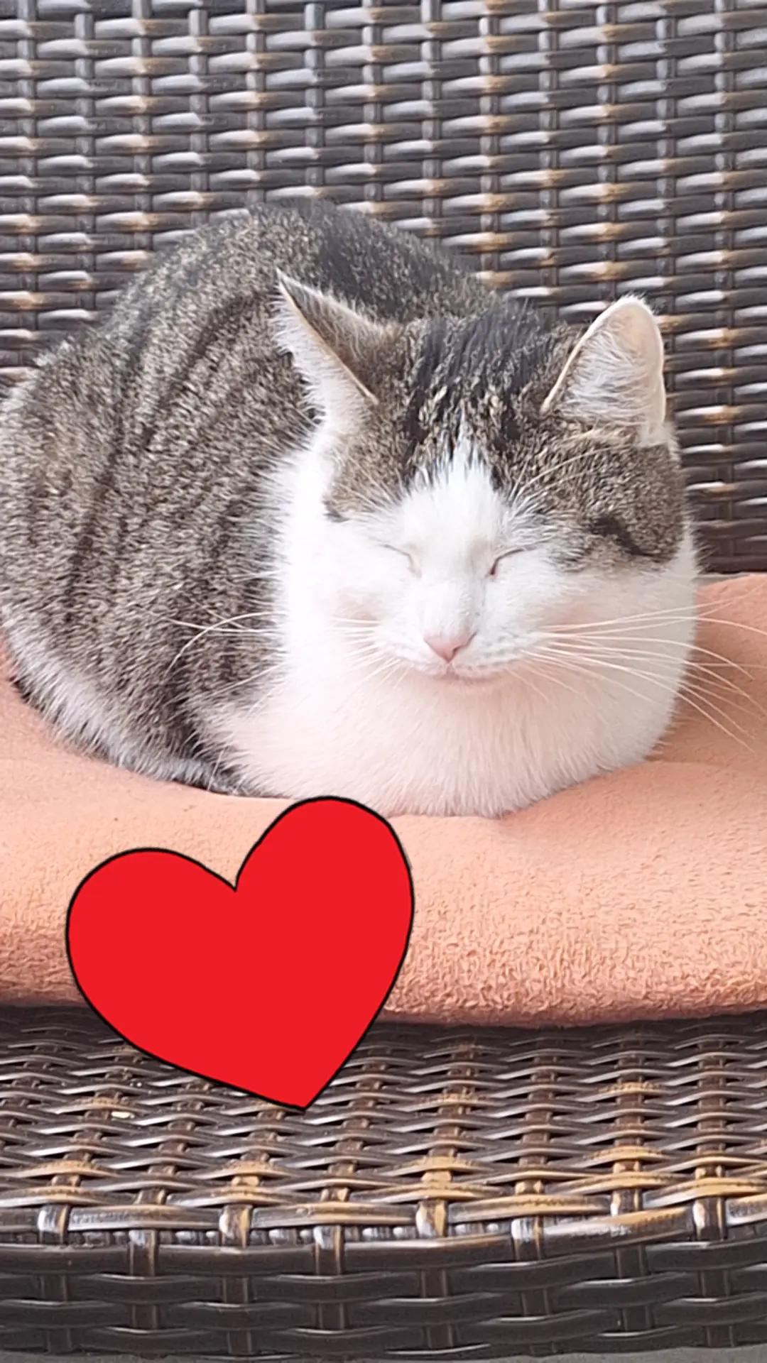 @□■□nicht.dein.Problem□■□