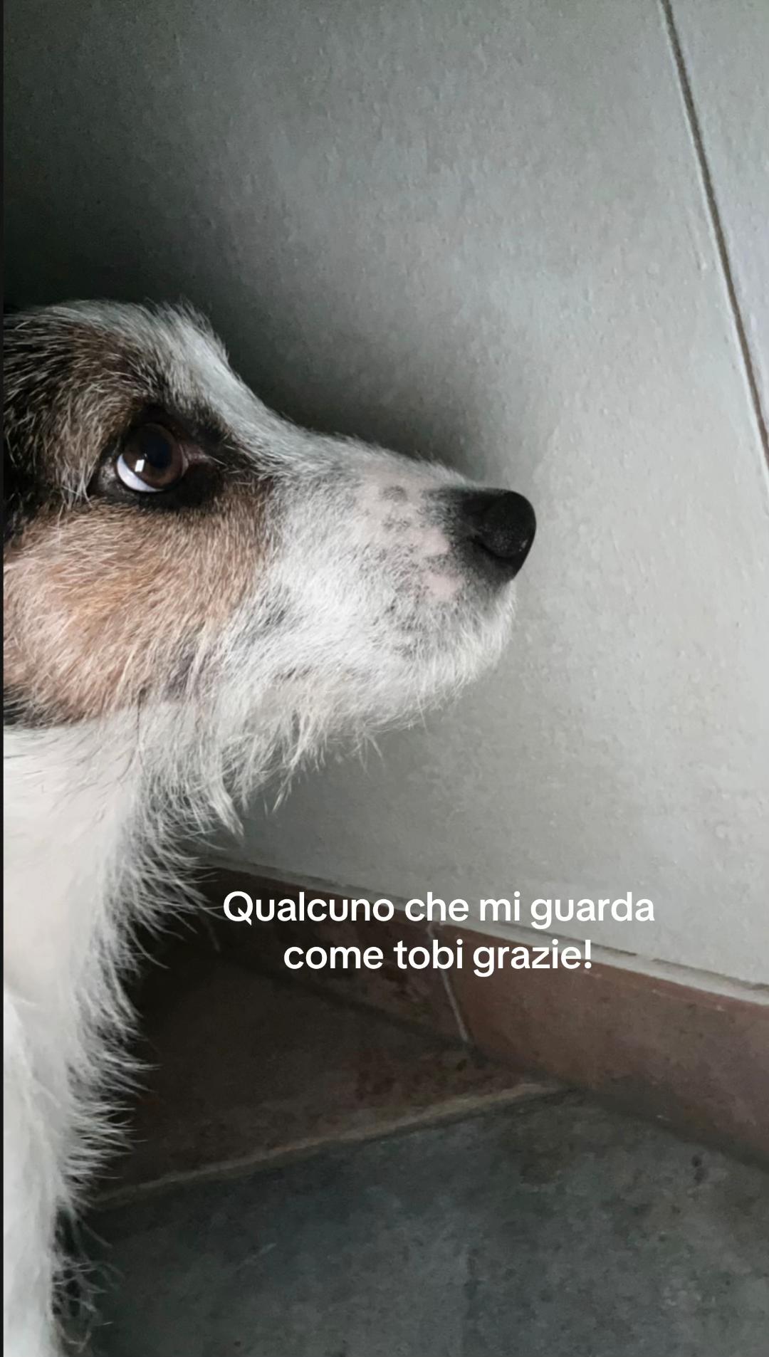 @Giulietta