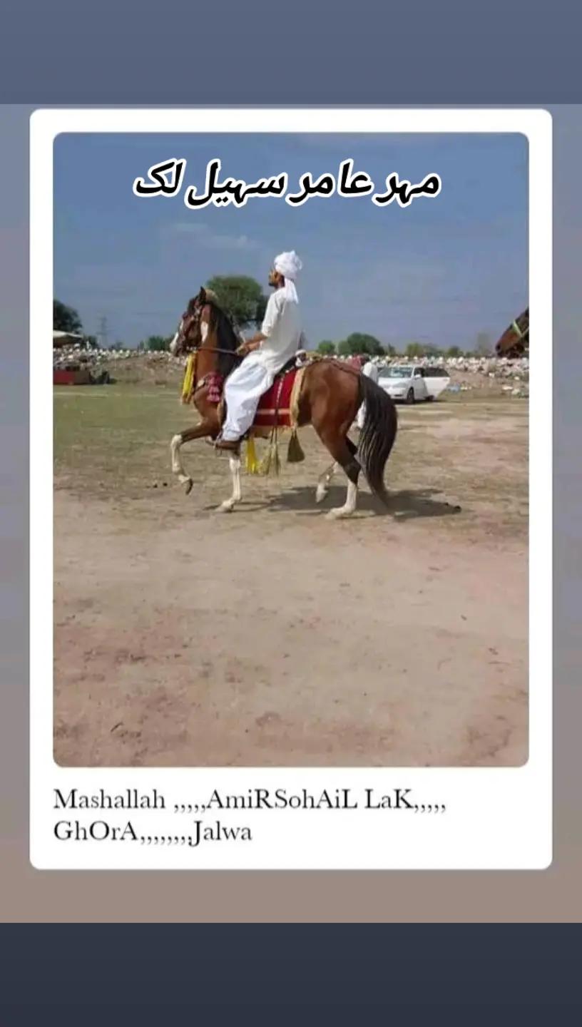 @مہر عامر سہیل لک🐎🏆🥂