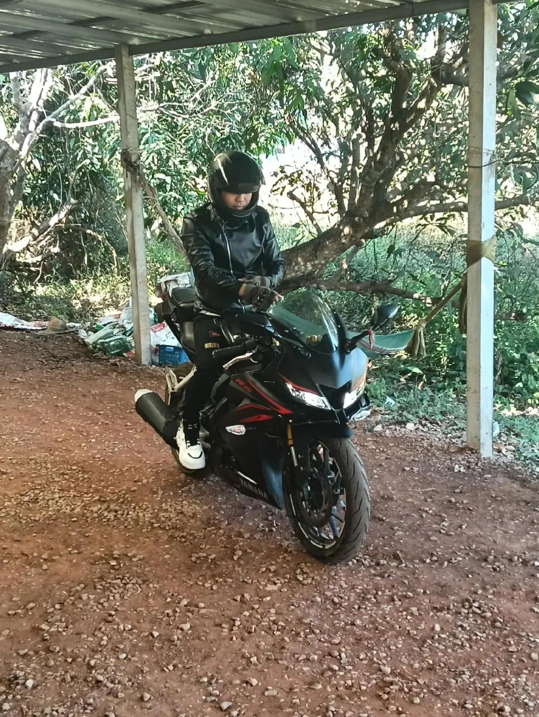 @วันนึ่งเดินเข้าป่าไม่ให้เธอไป