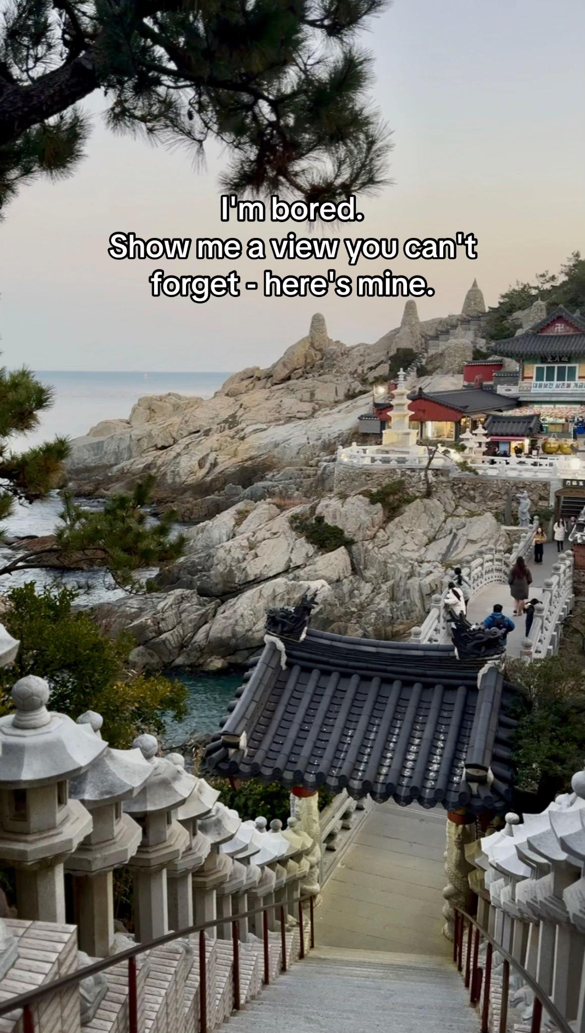 @Paulina🇵🇱🇰🇷
