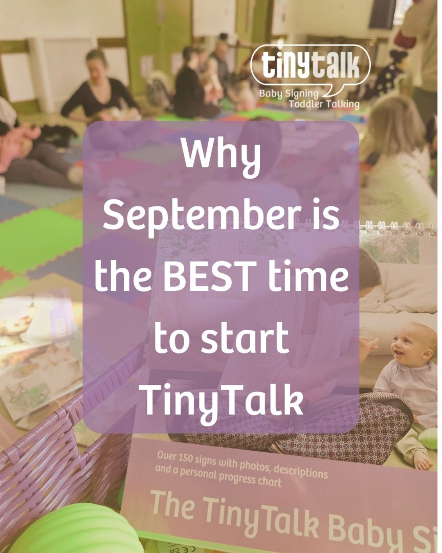 @tinytalkteacher