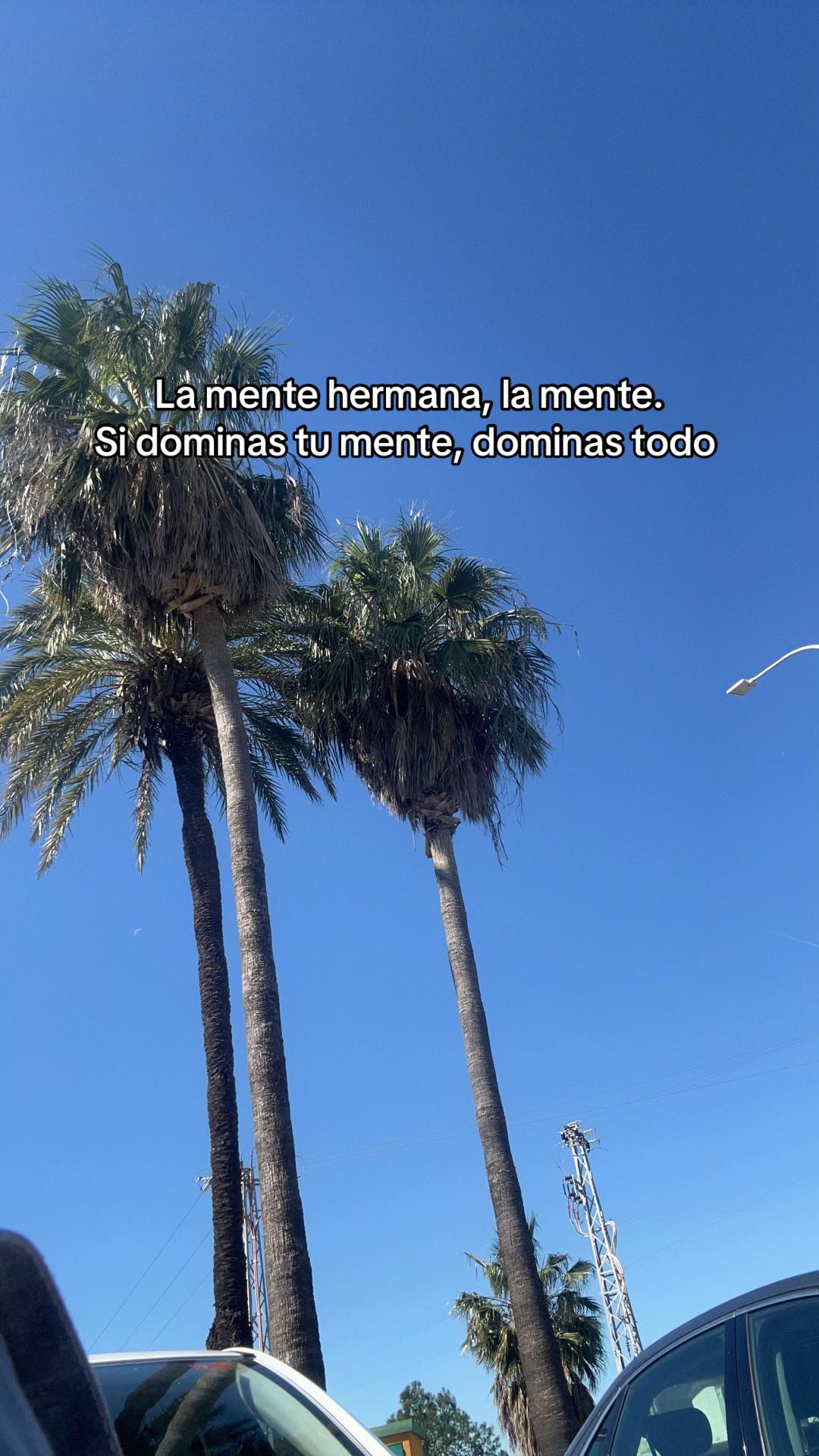 @cotitooo655