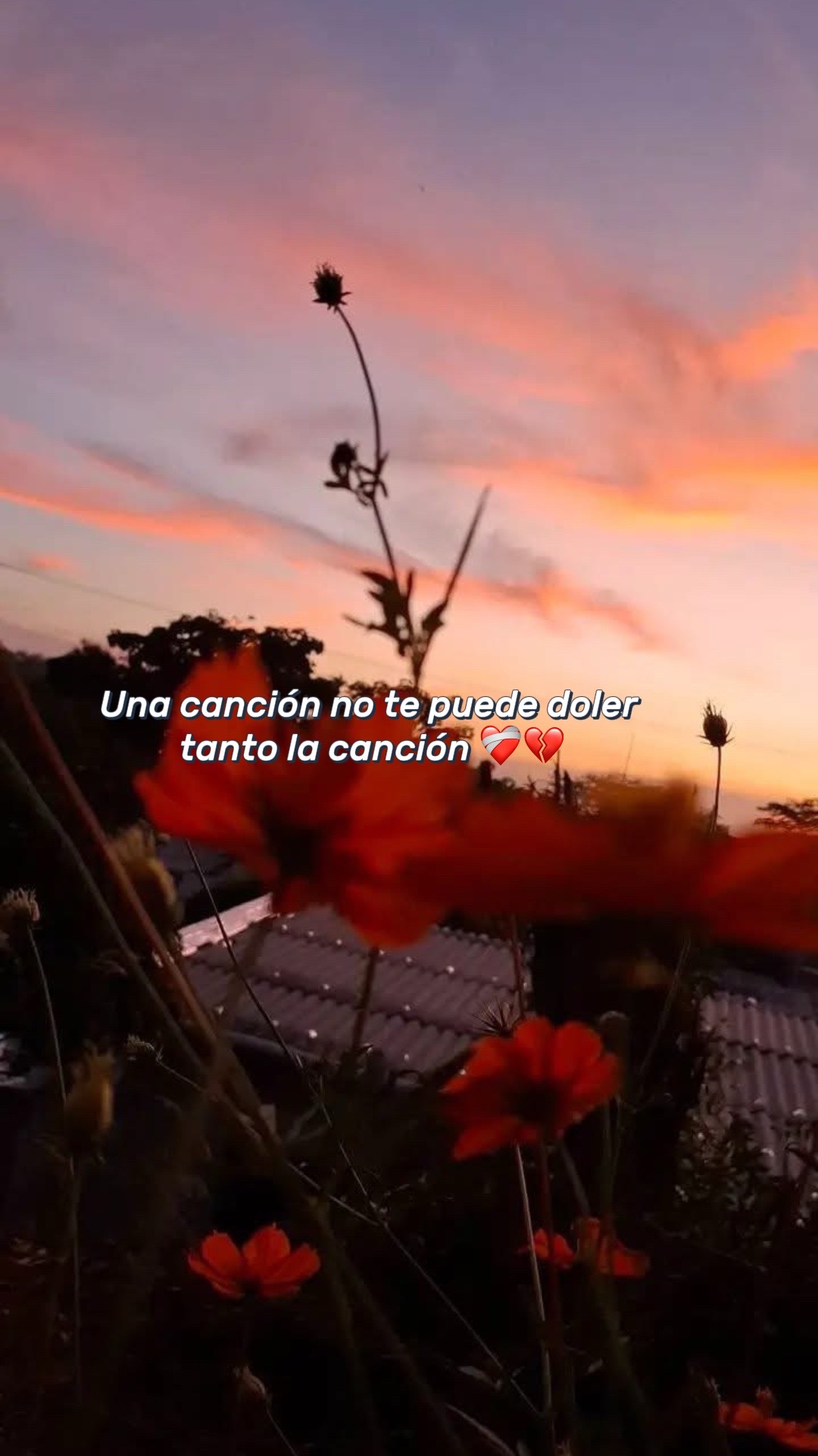 @Tifany Lopez