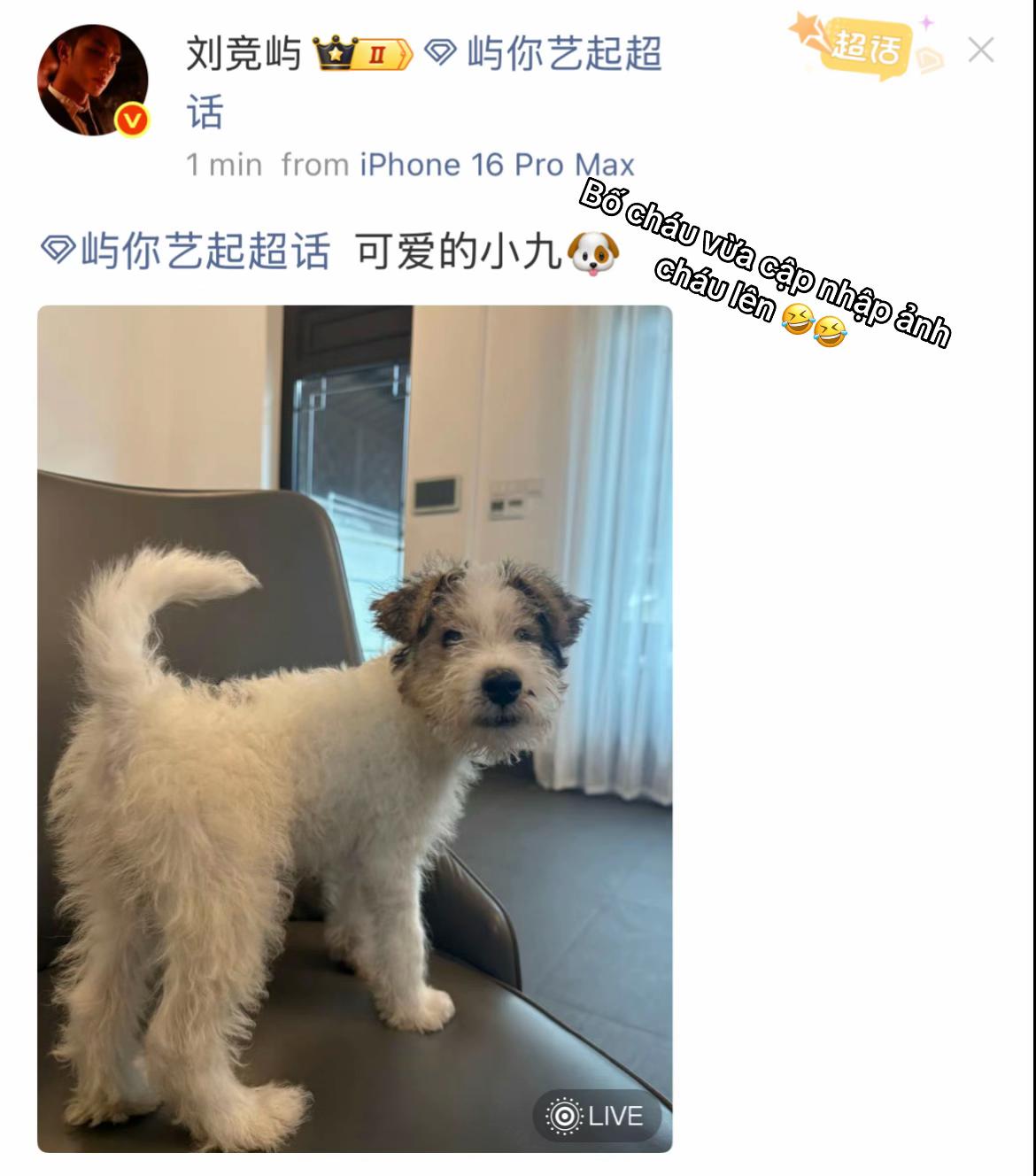 @Sống về đ&ecirc;m để đu trai