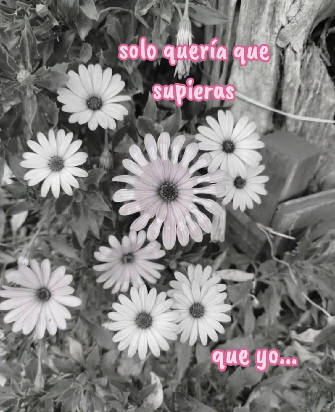 @joseAHP🖤⃝🦋