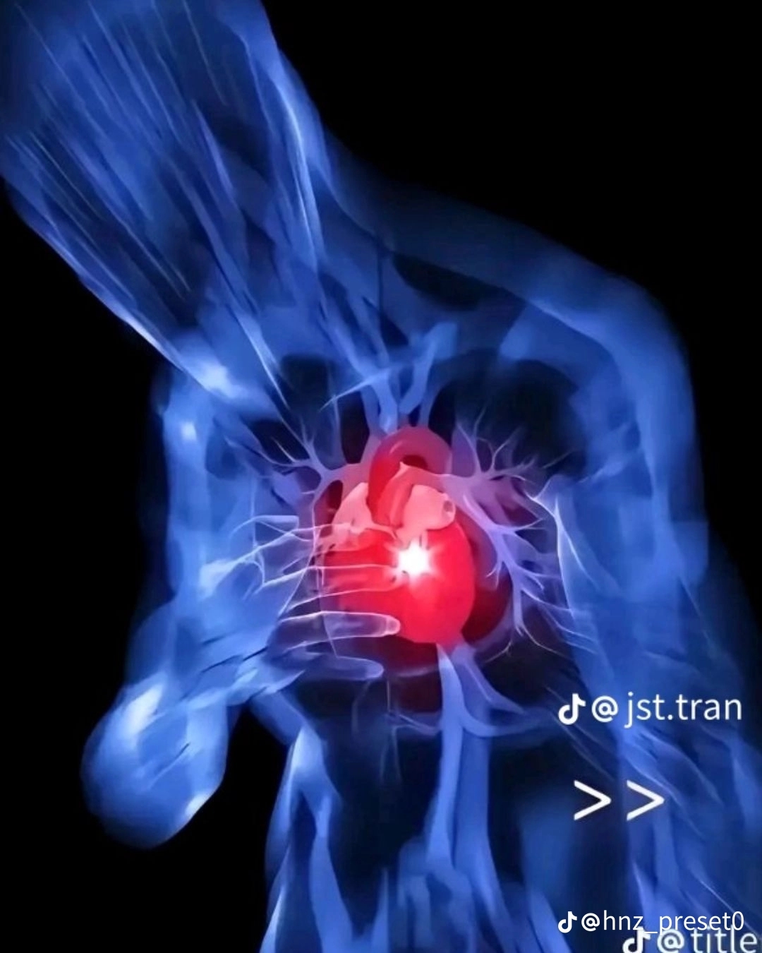 @Yin_tiktok567