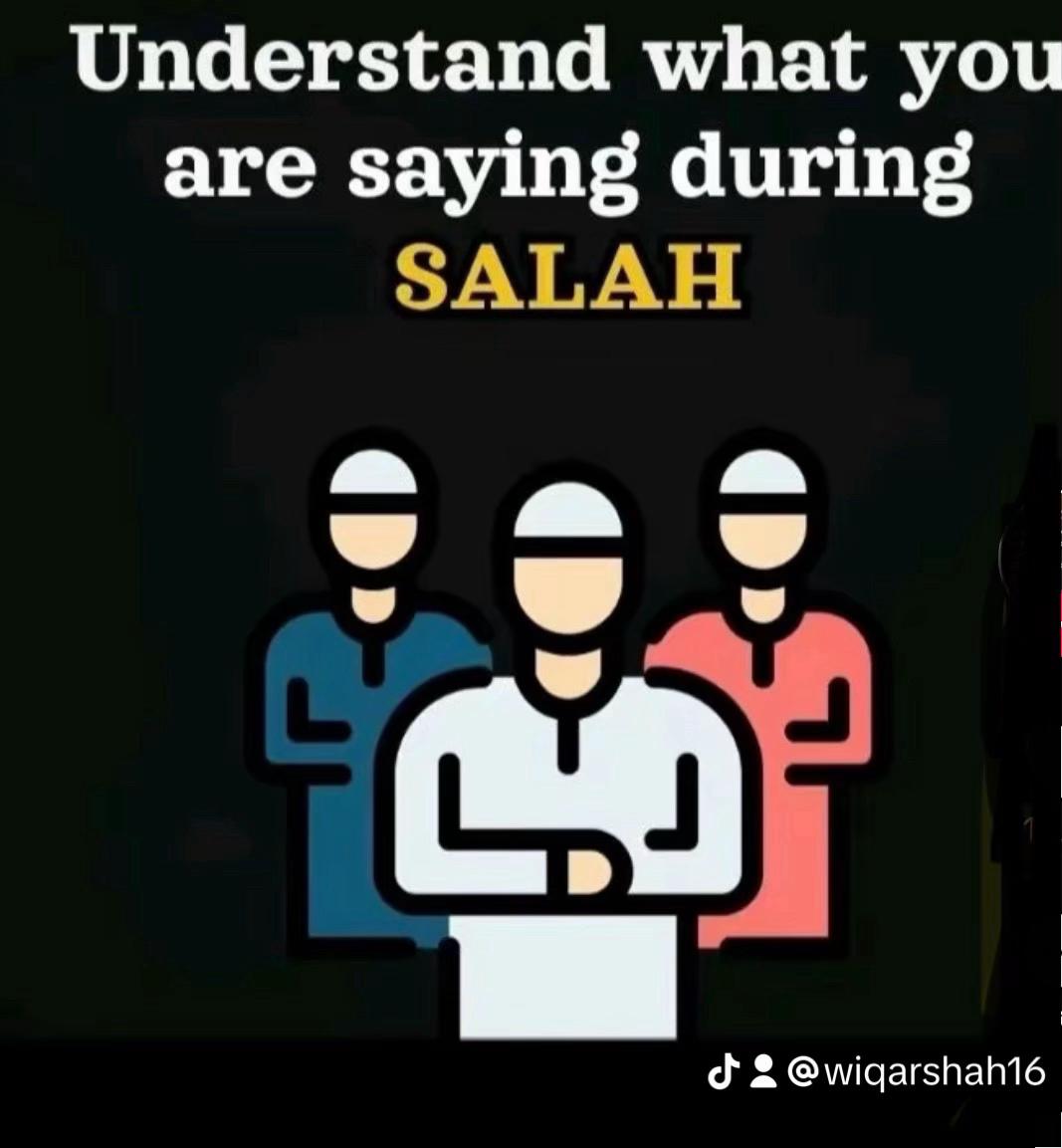 @Wiqar Shah