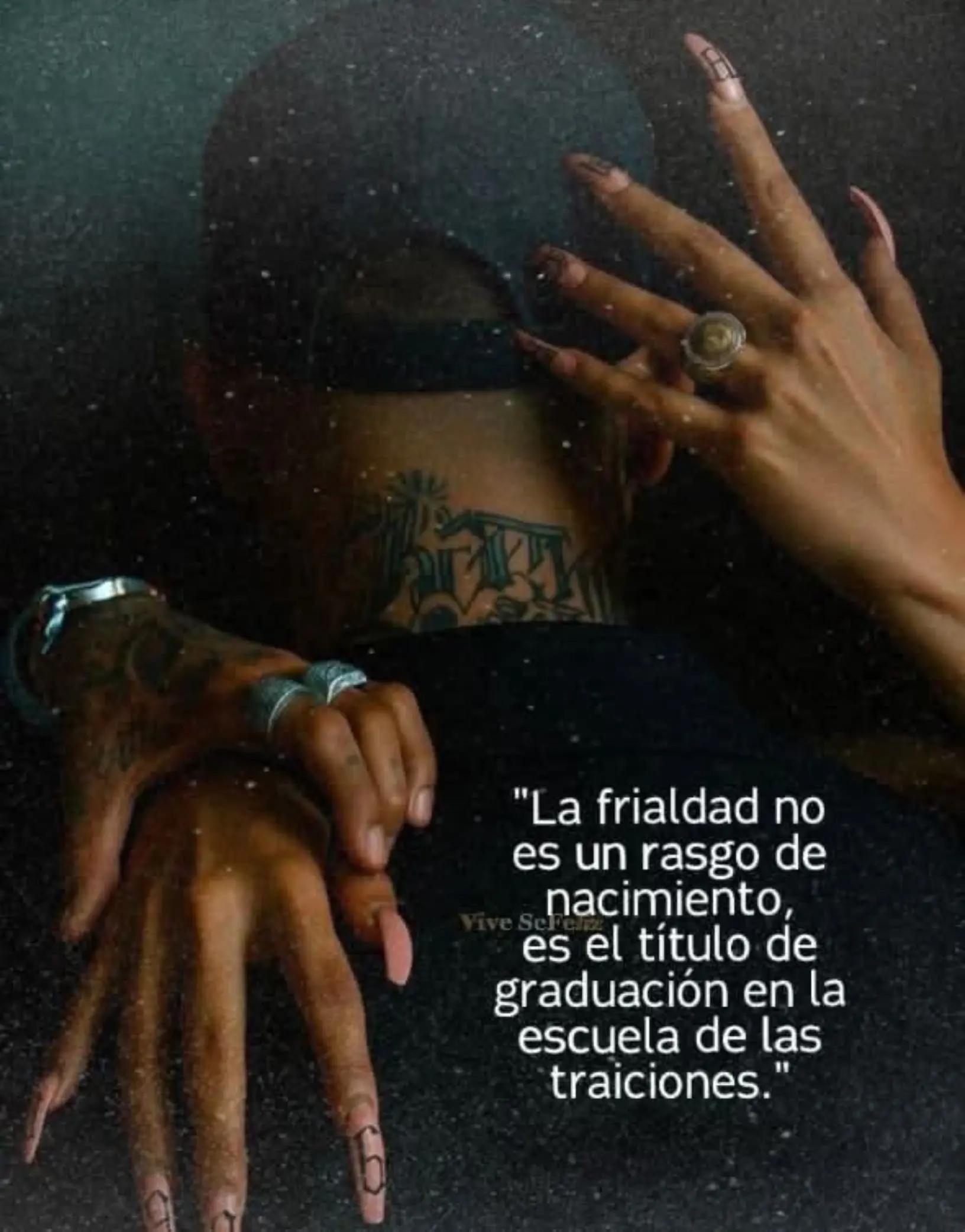 @erikabravo258