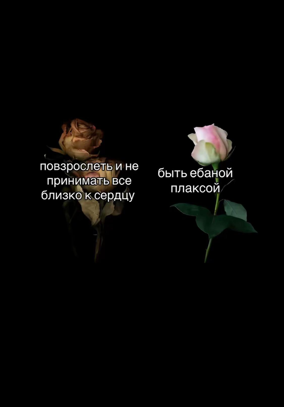 @lichnost