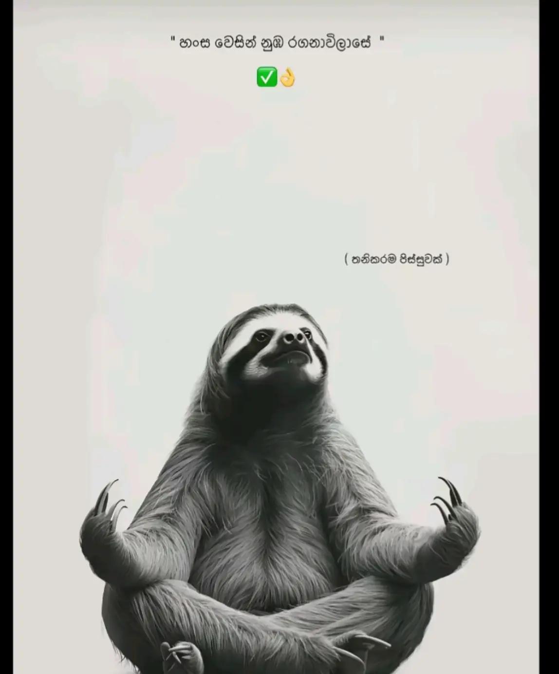 @*ඉශා. LIYAnage🖤🕊️