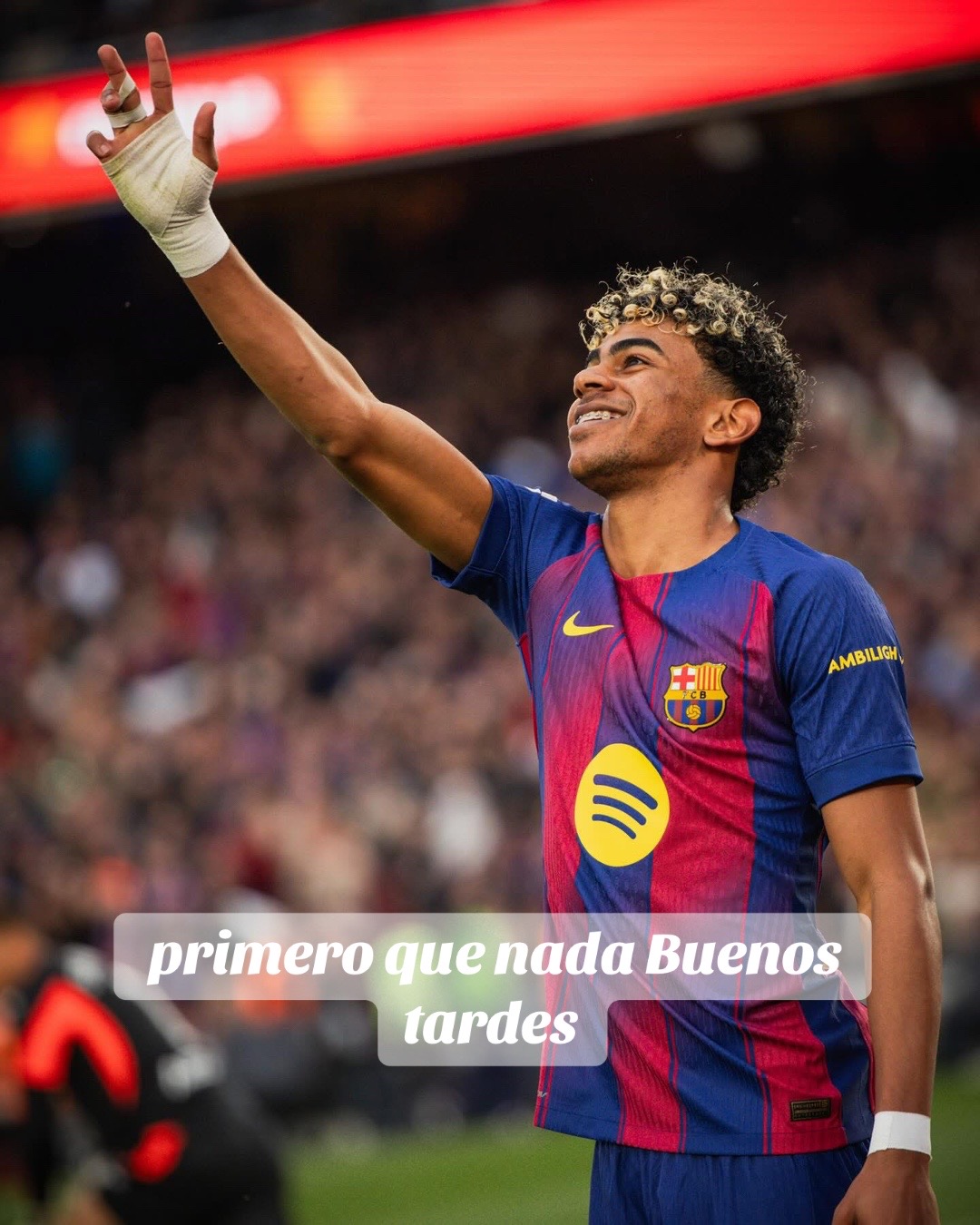 @Miguel de pa&uacute;l