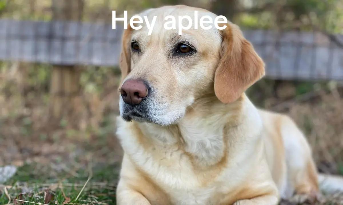 @そㅤanderㅤ弔